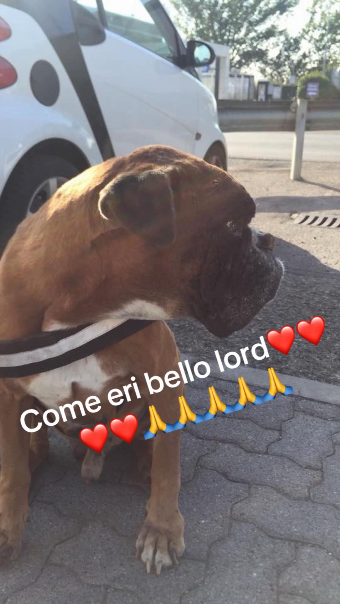 @tuscaniafolgore