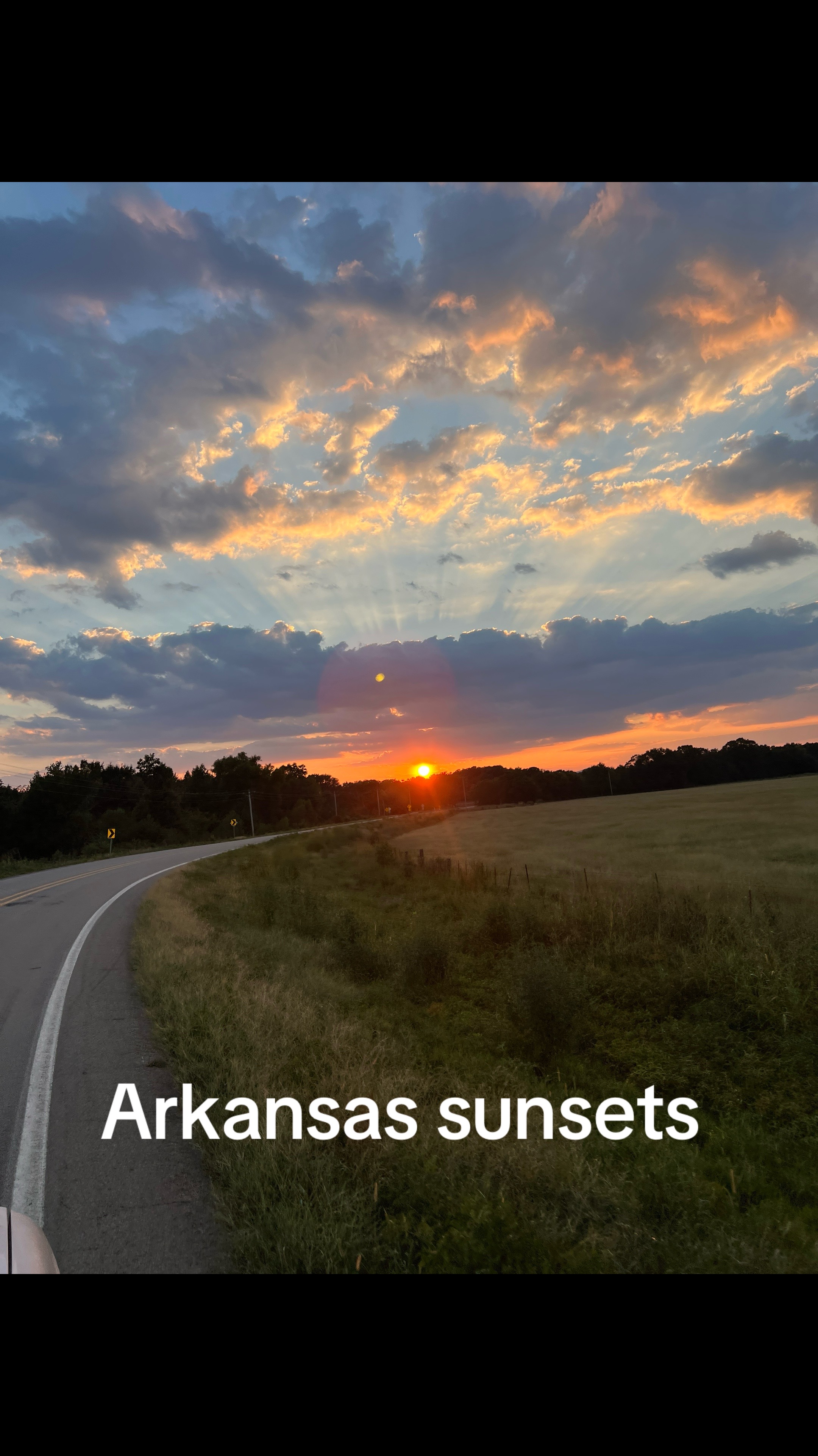 @KathyAnnn🏜️🧠🌻🌲