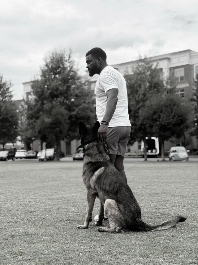 @DJ | Dog Trainer