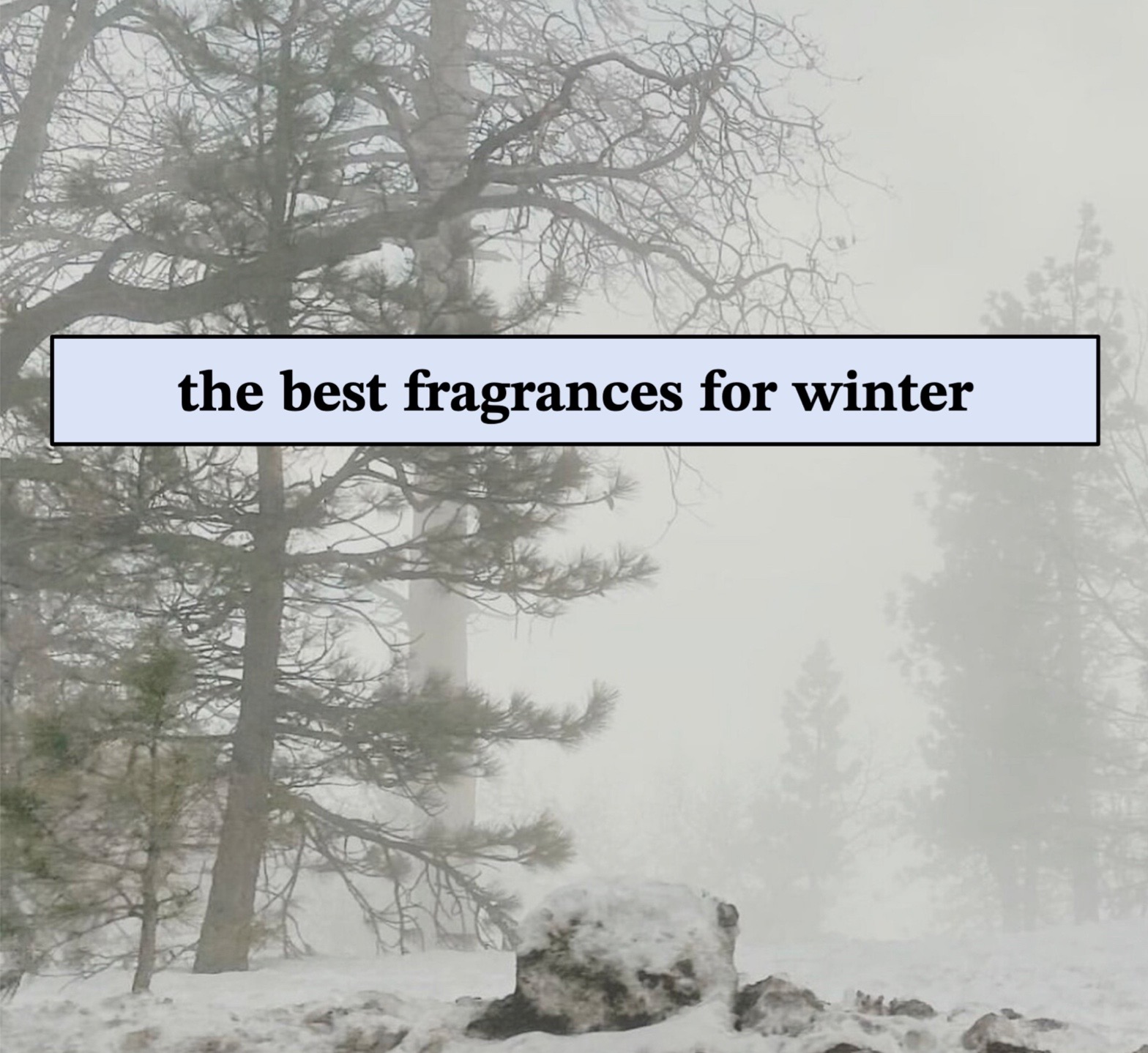@gardenfragrances