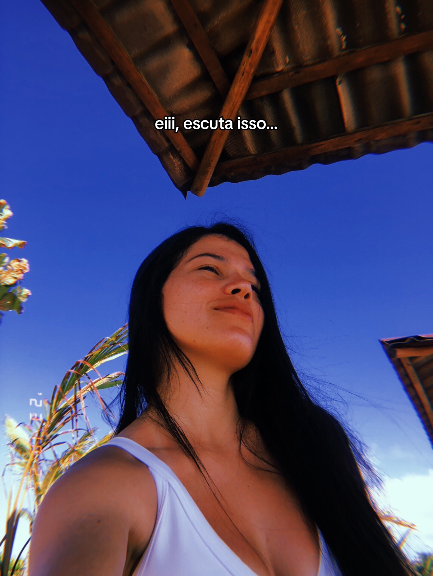 @Fernanda Almeida