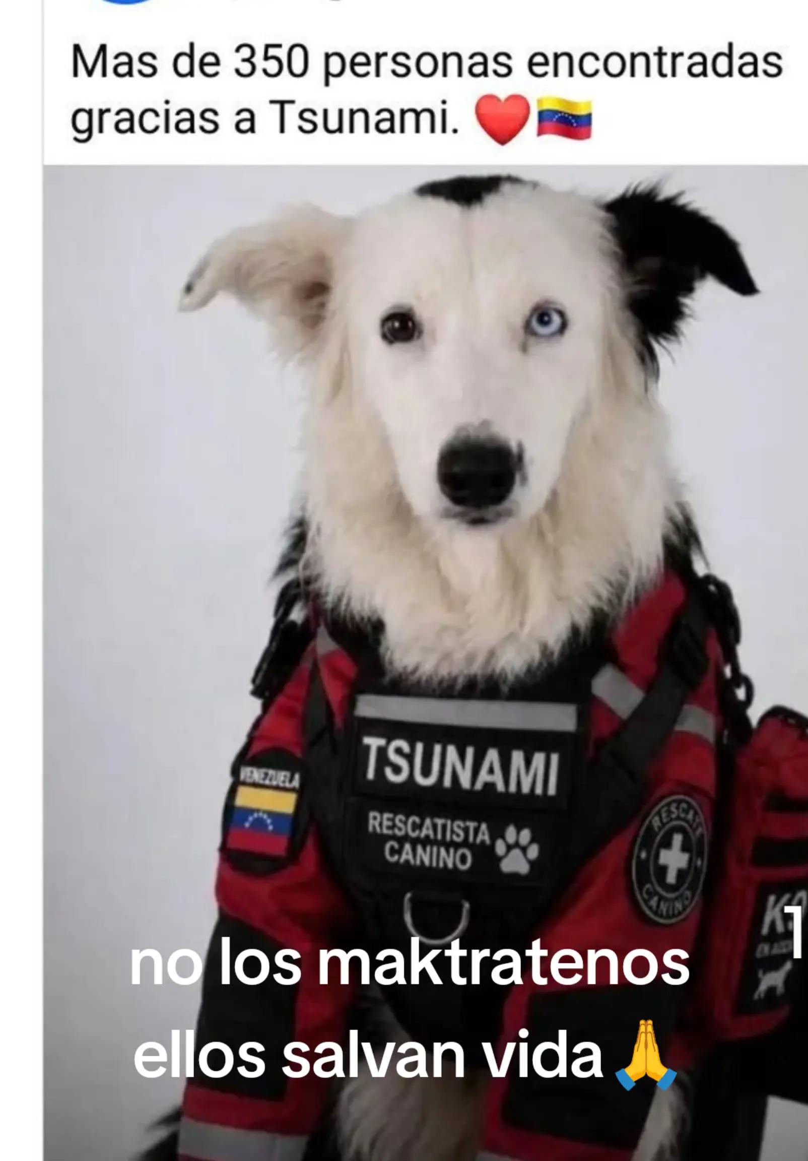 @🇩🇴 de❤️zorifabian🙌🦅