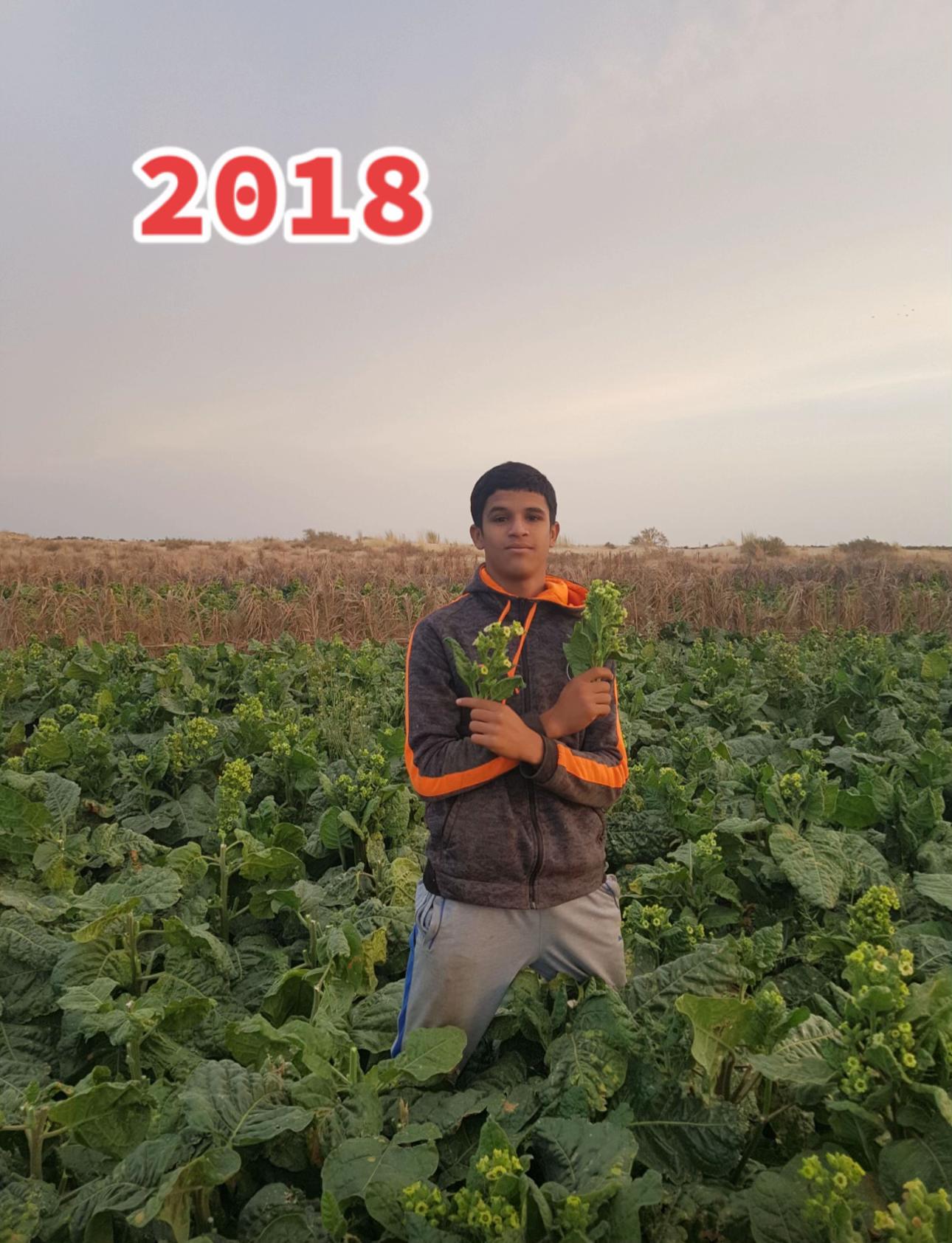 @yasser_segueni