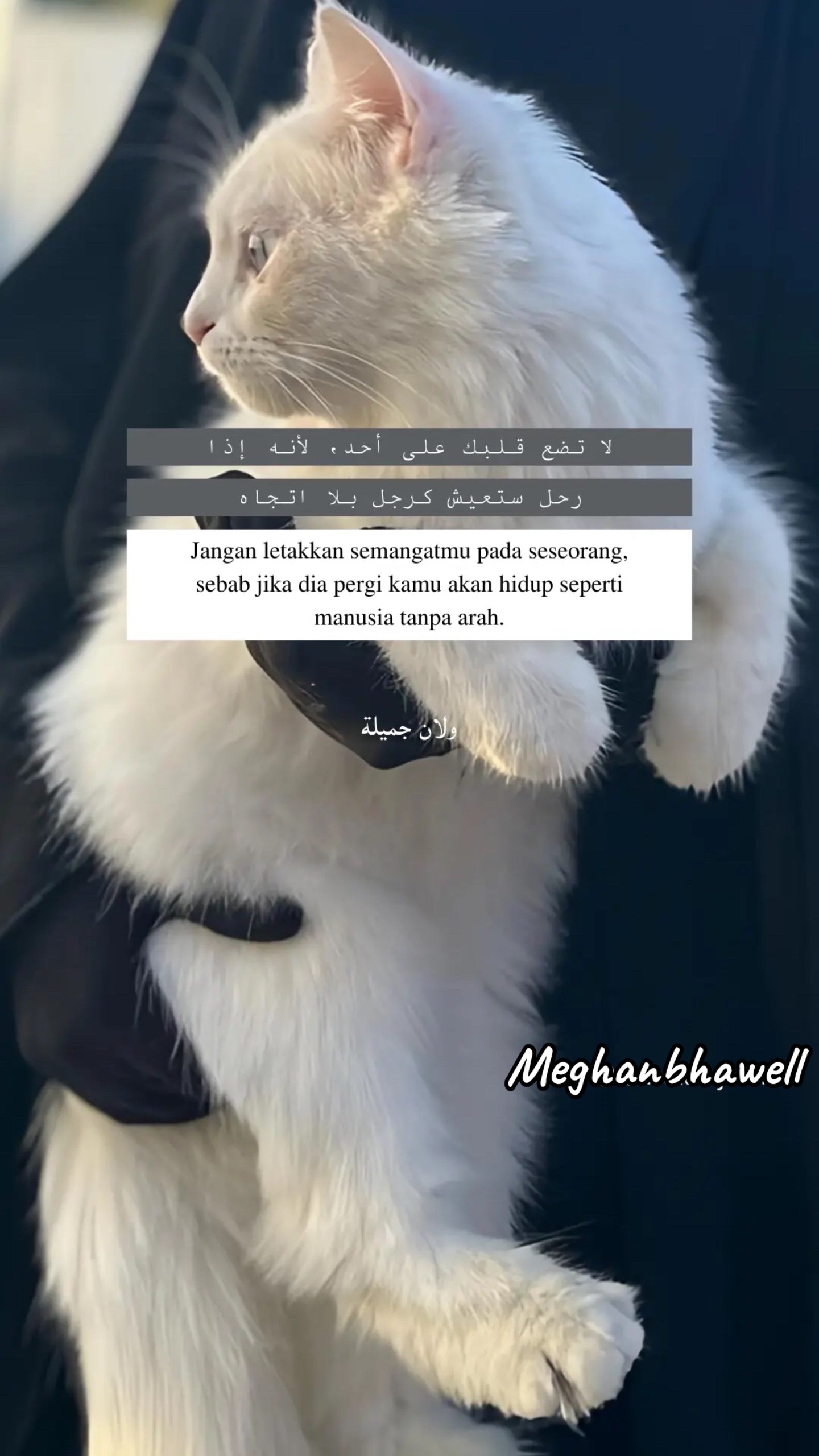 @MeghanBhawell
