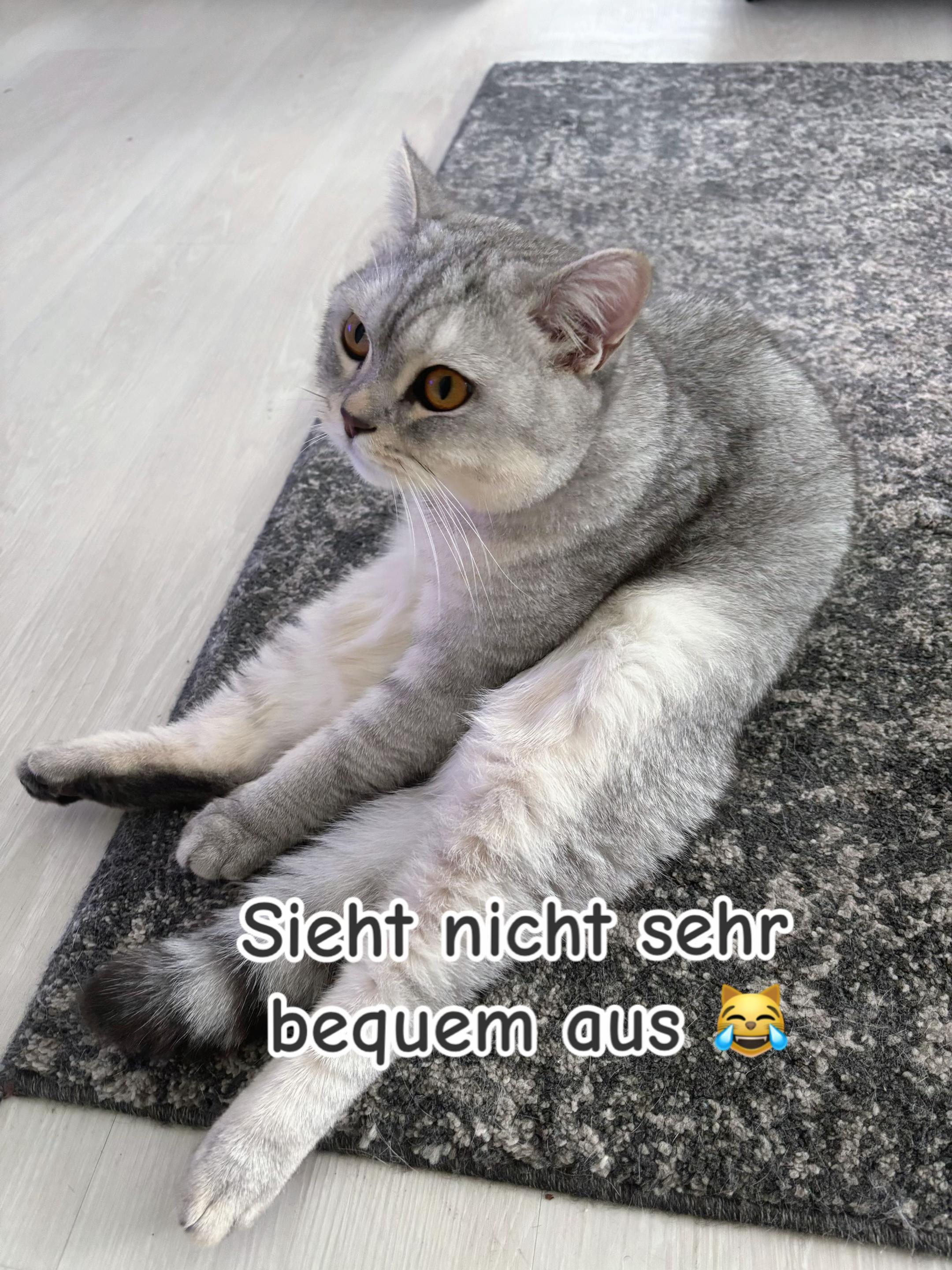 @Backet&Cosmo