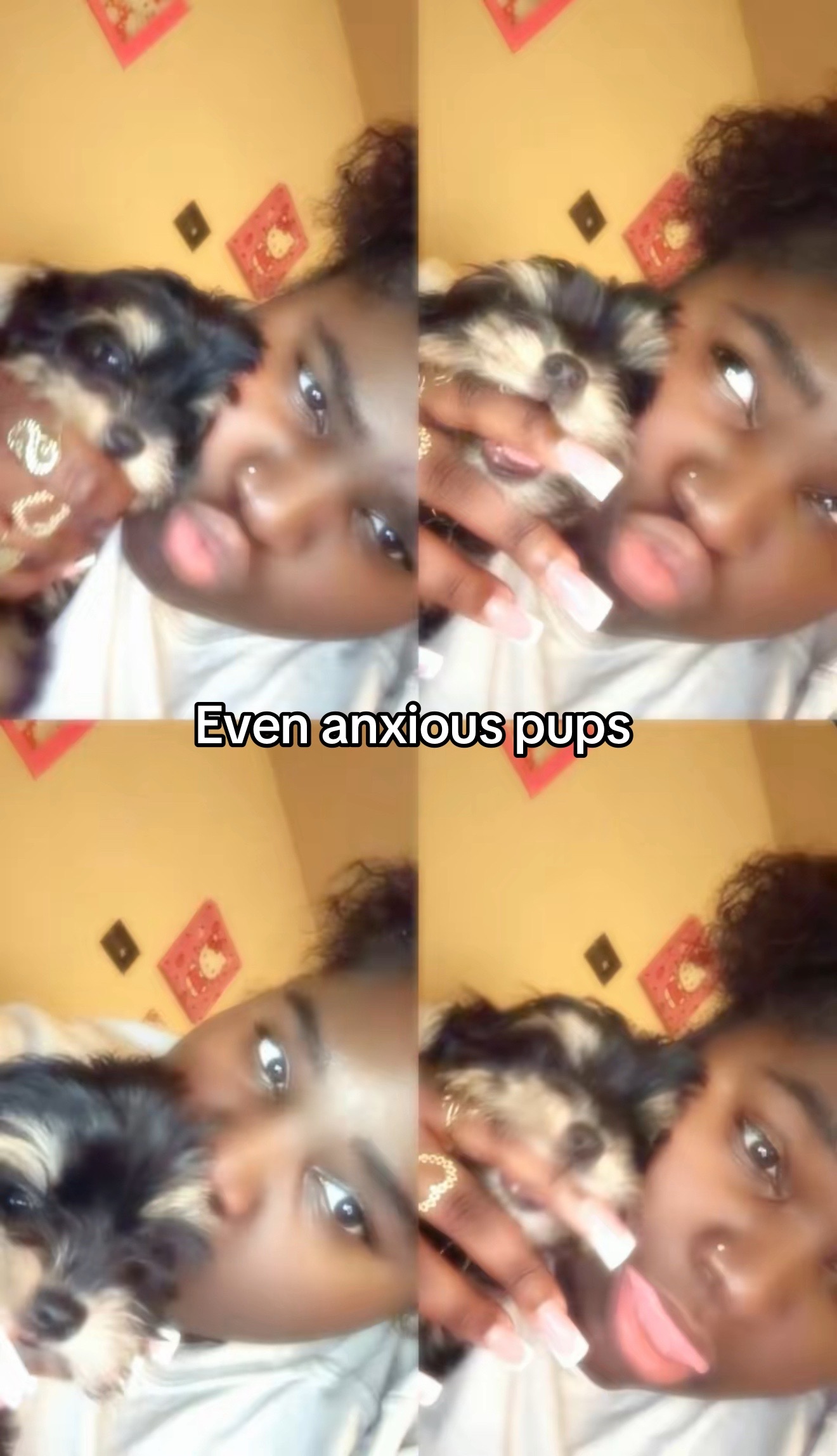 @shayy4prezzii
