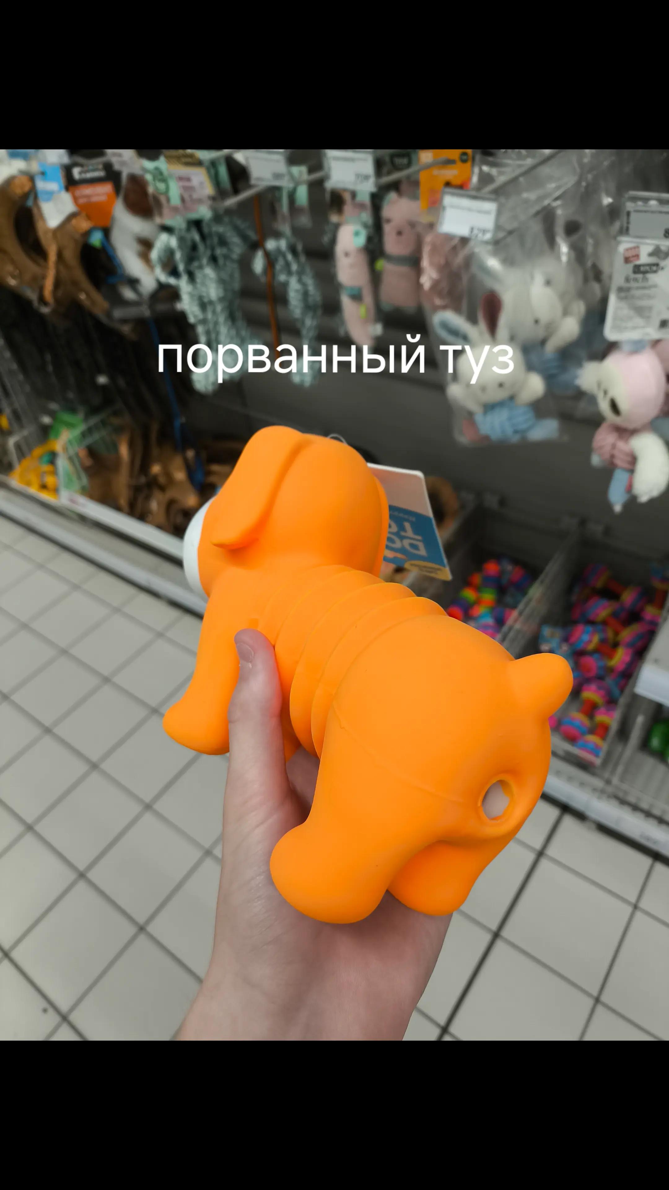 @лев толстый