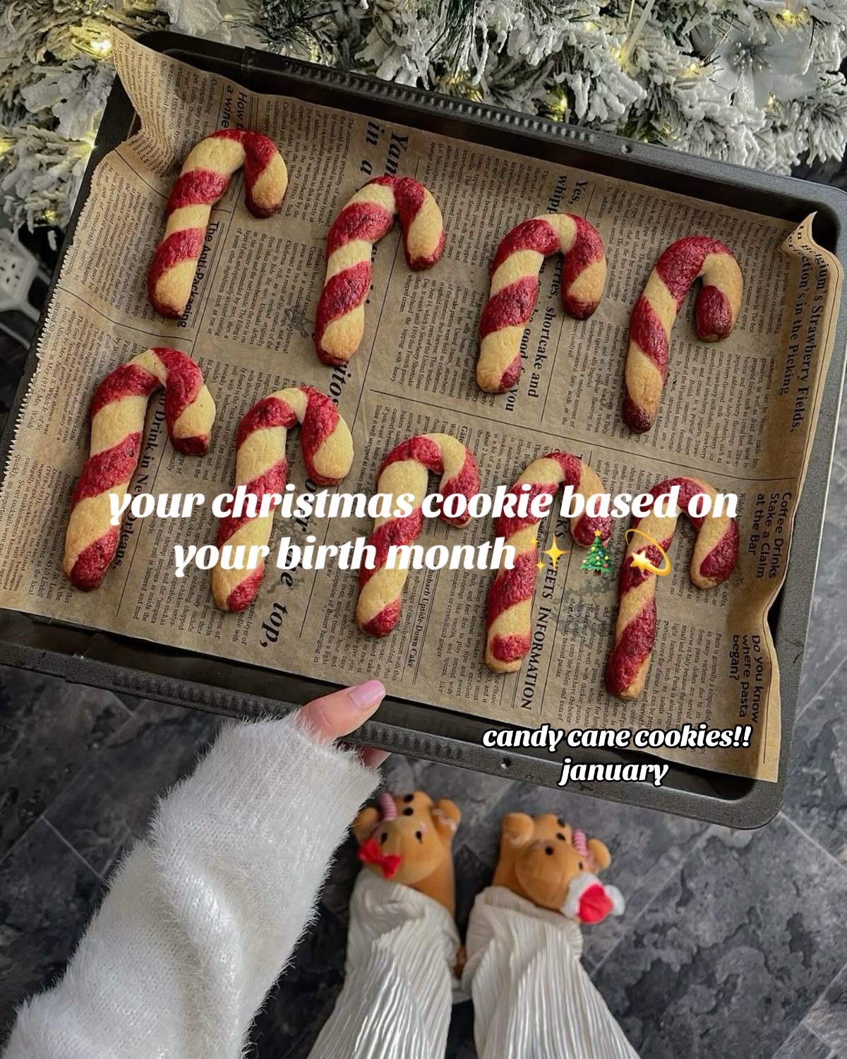 @cozy christmas