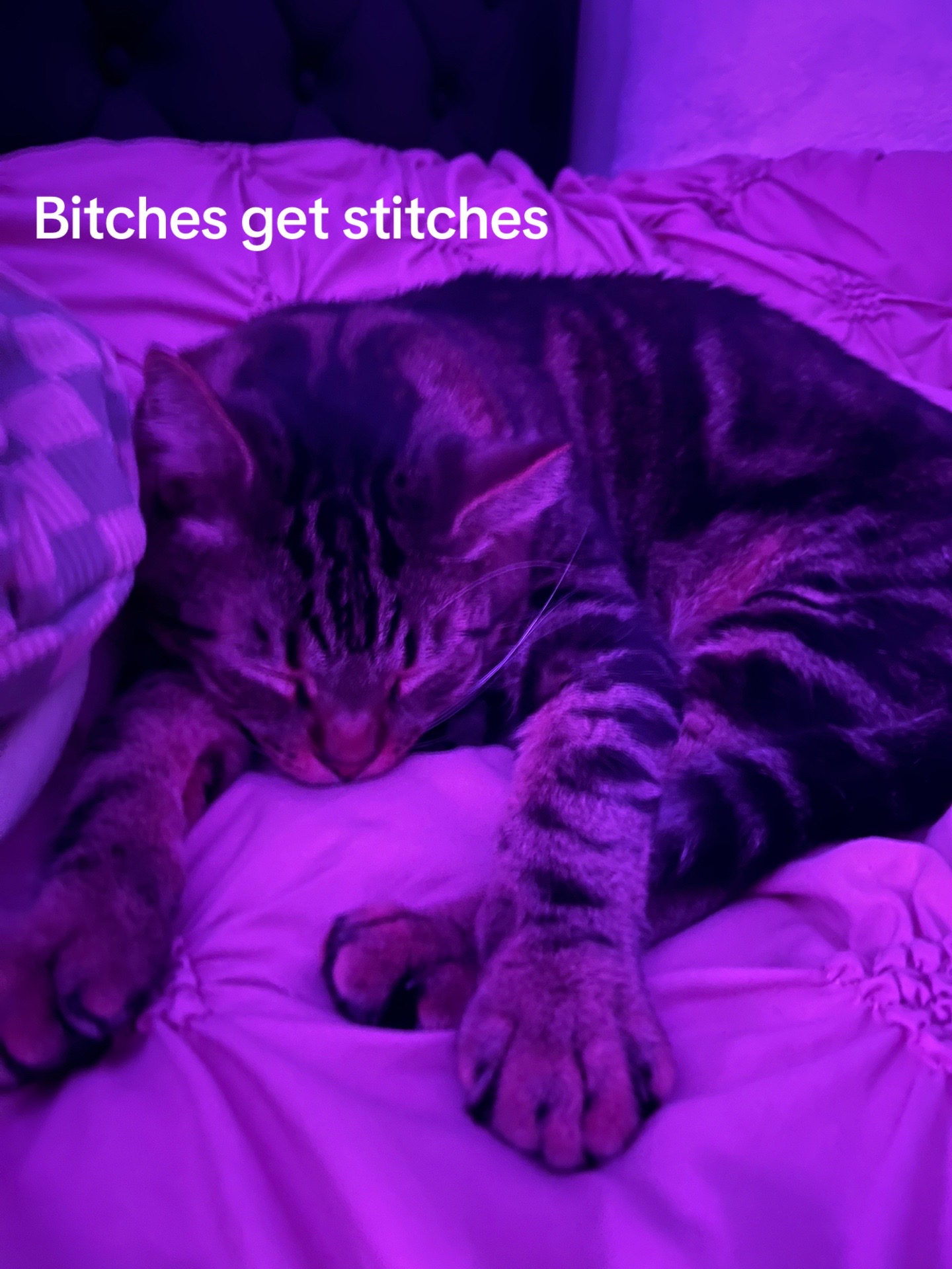 @Jenna🫶