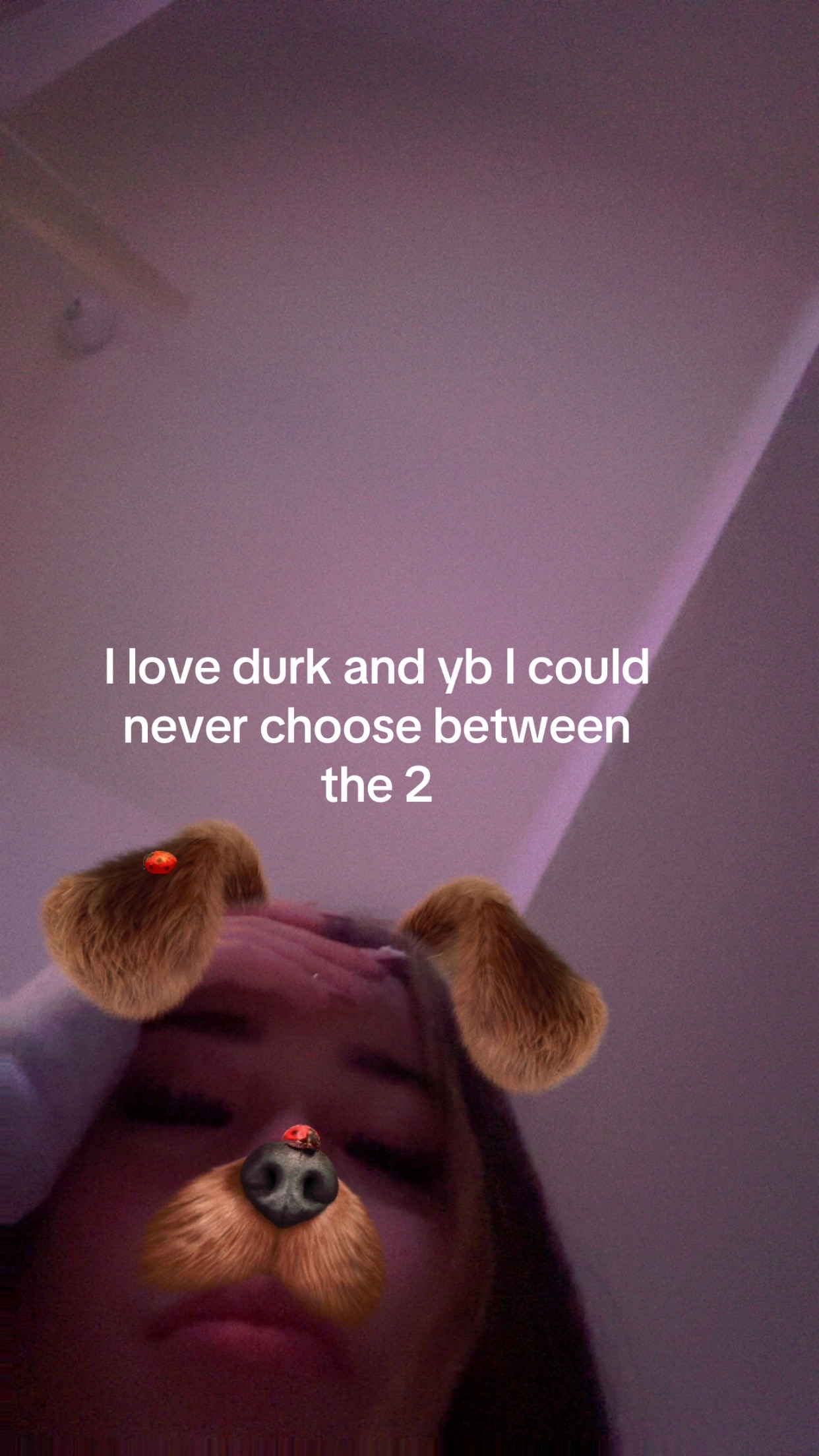 @kayleespam