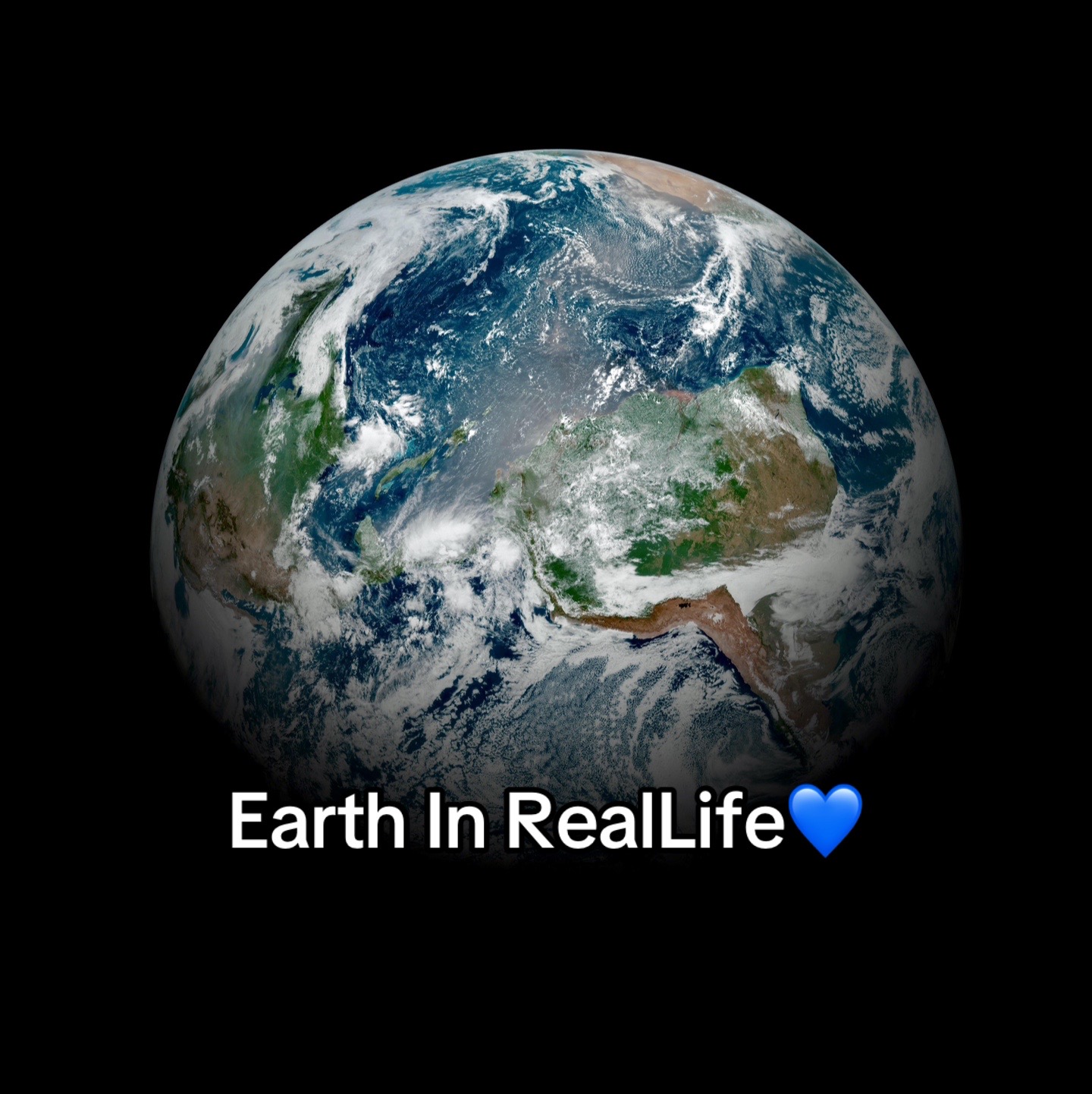 @Whocareswhocares11💙
