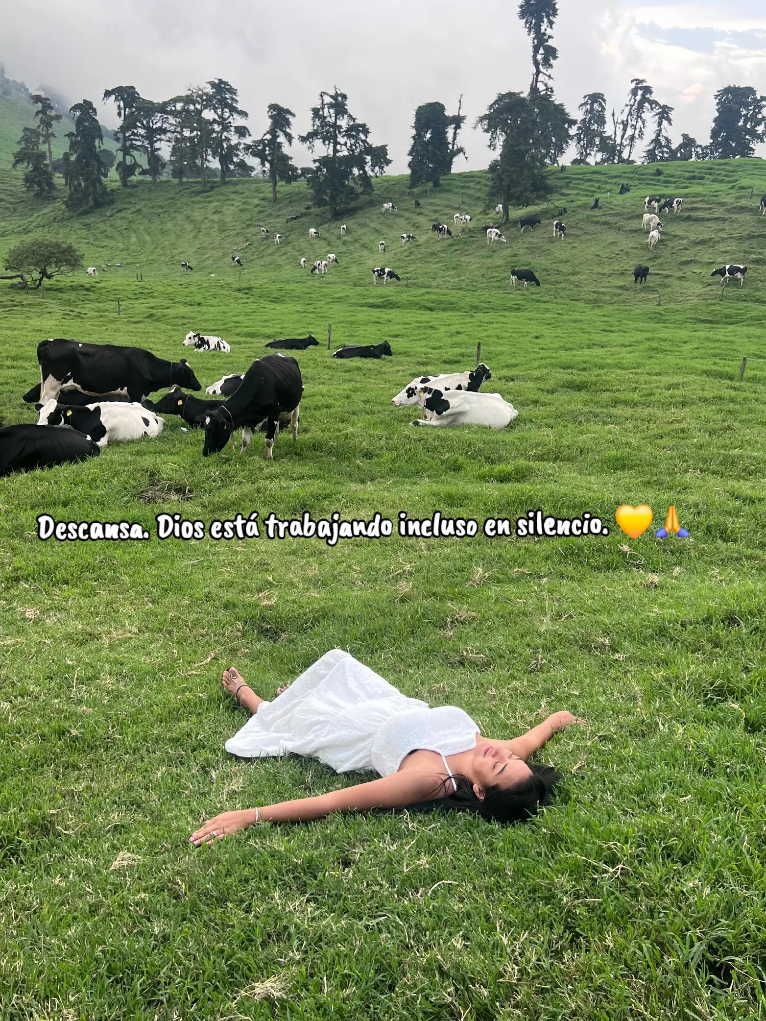 @🌺🐛🦋