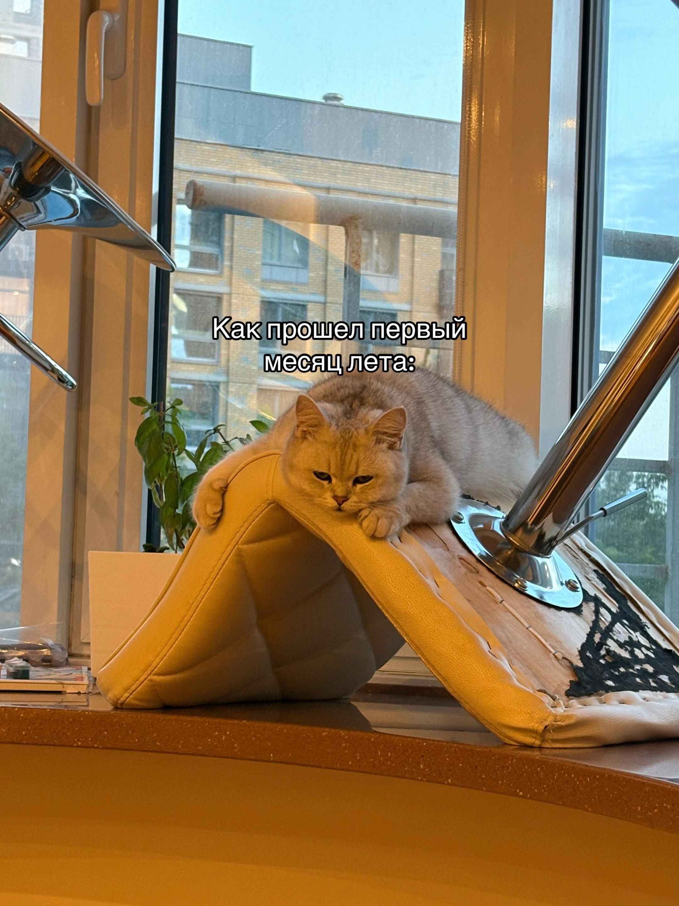 @Тгк: Ликины истории