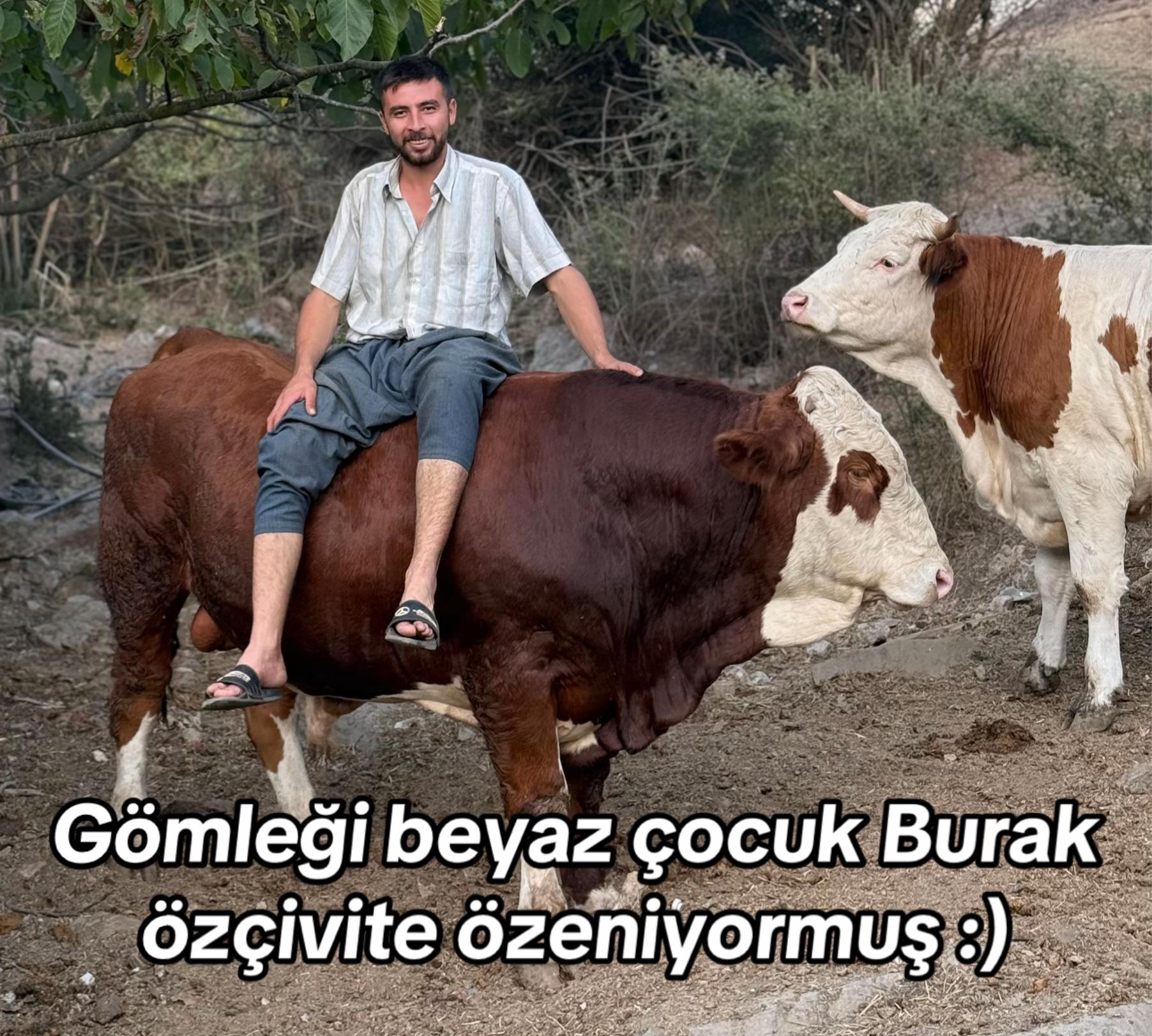 @Samet Taşkın