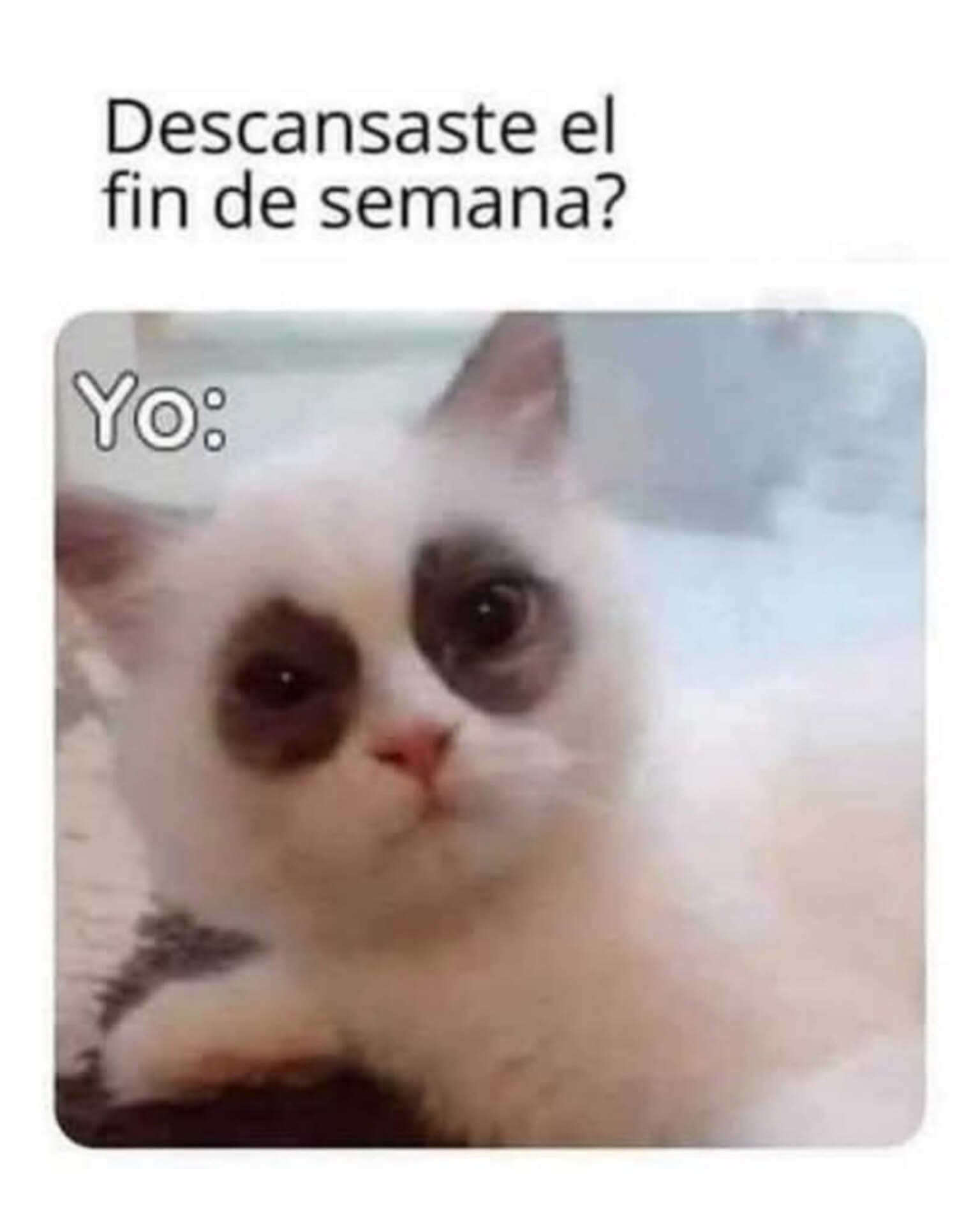@ME787