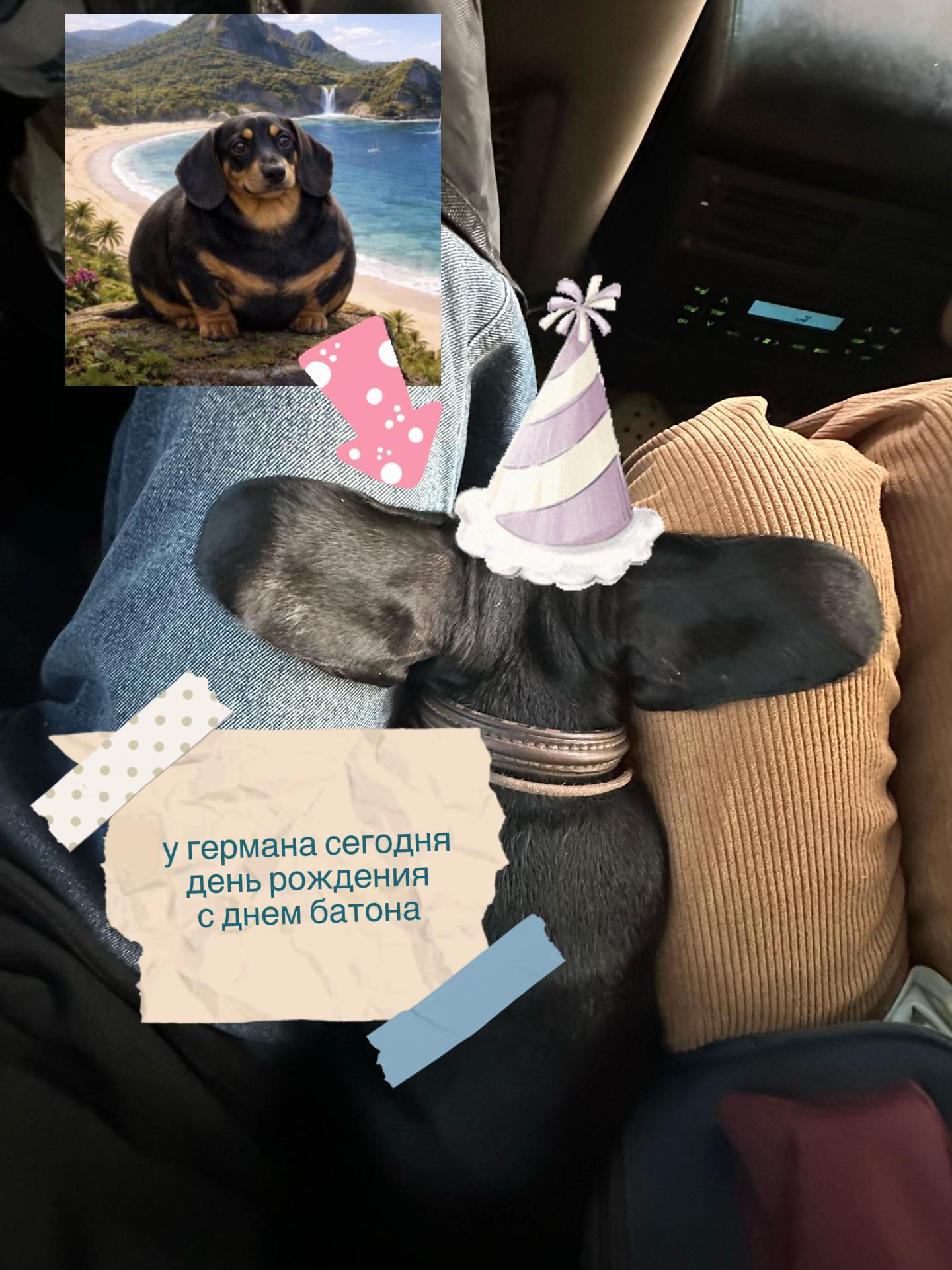 @кира сейшу🪲