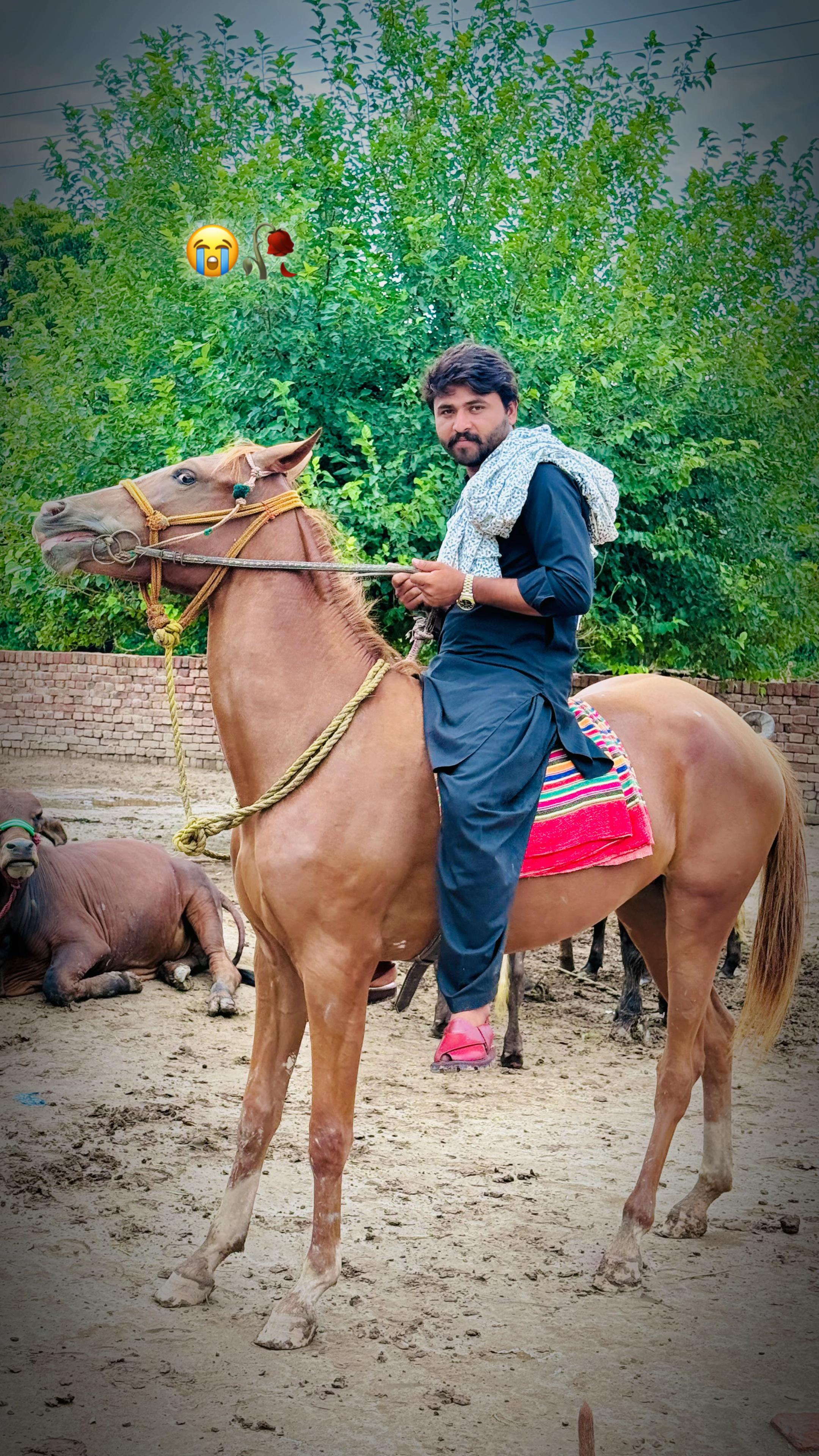 @Mahar Sami Amrana