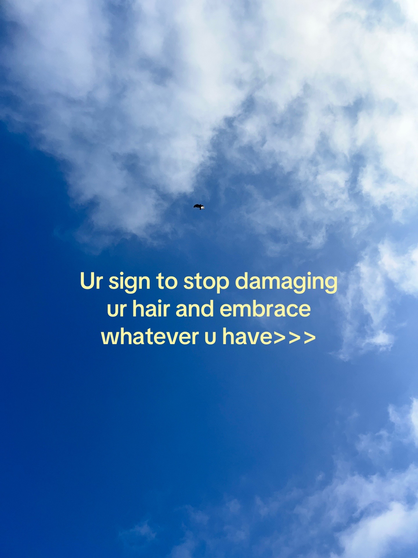 @fatii