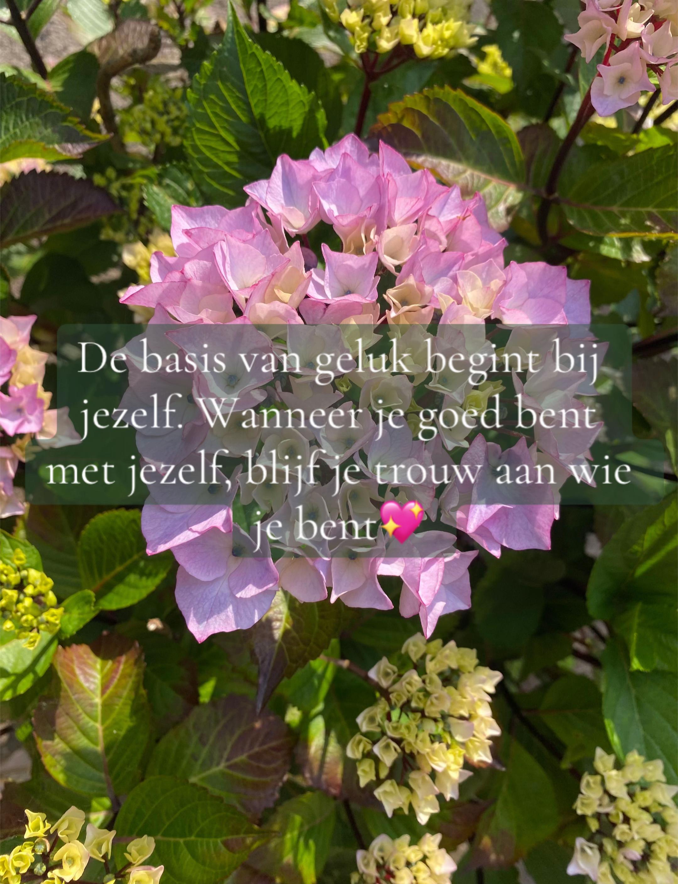 @Marloes.