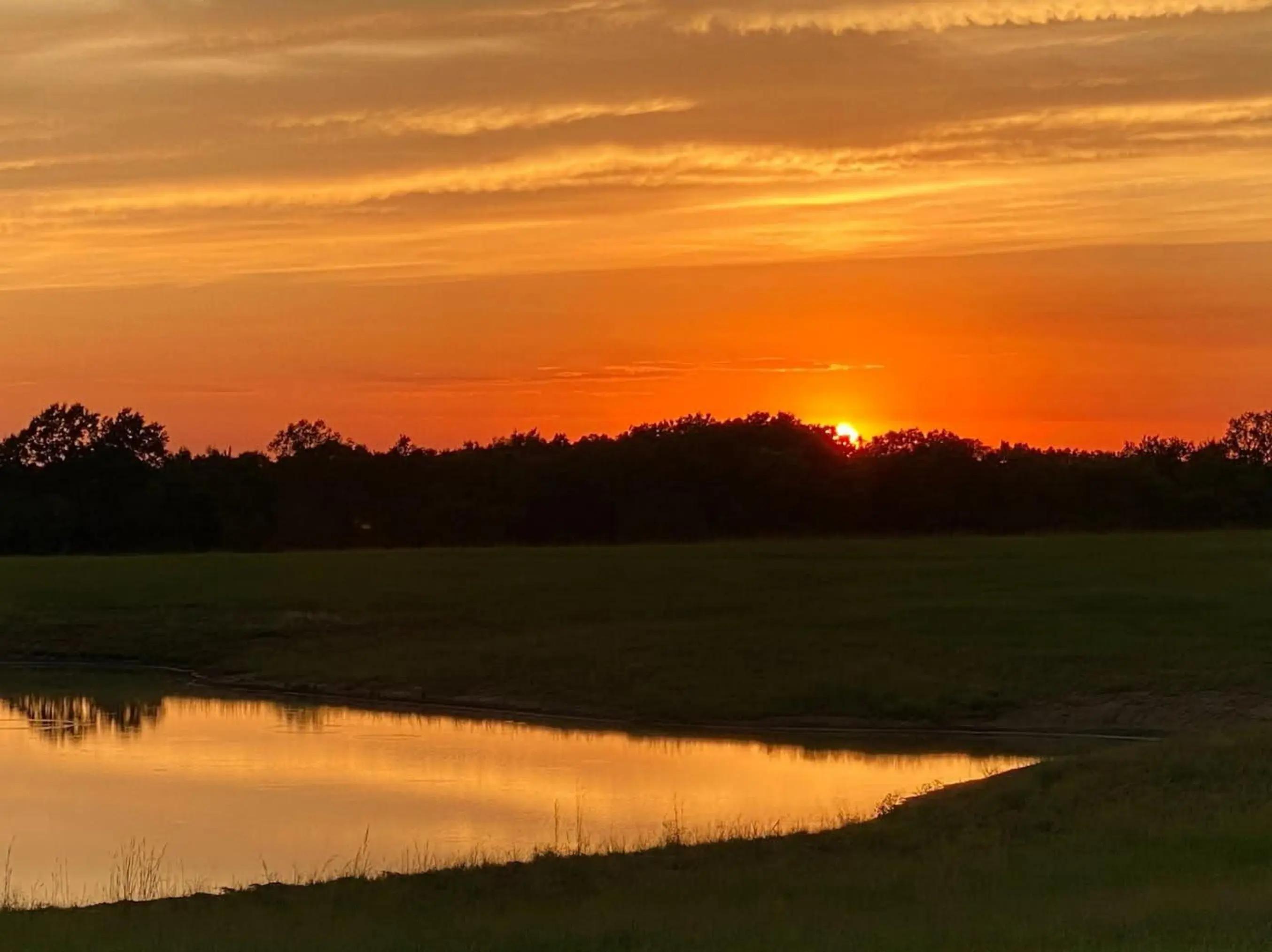 @April Havens