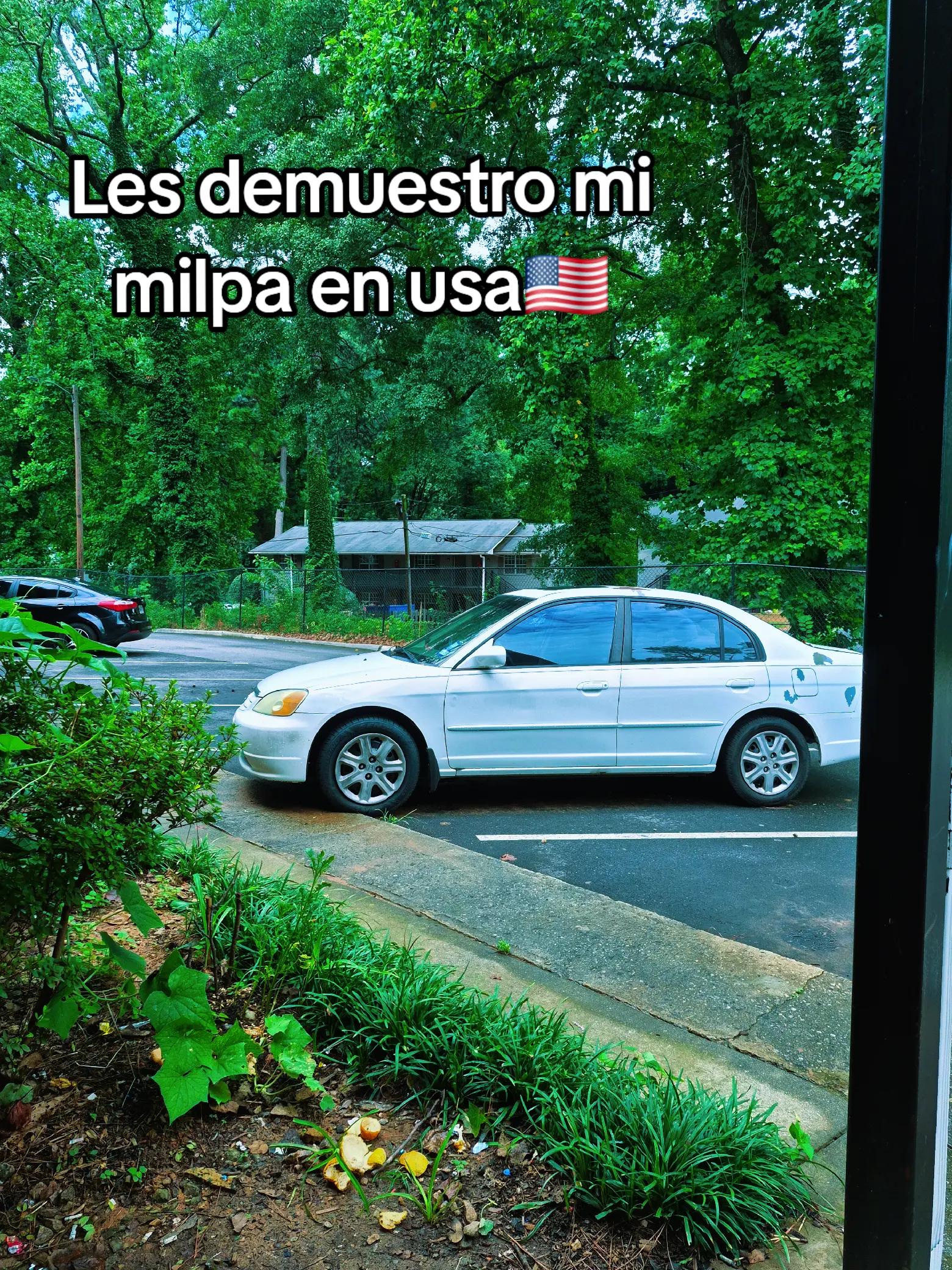 @Damiela Méndez