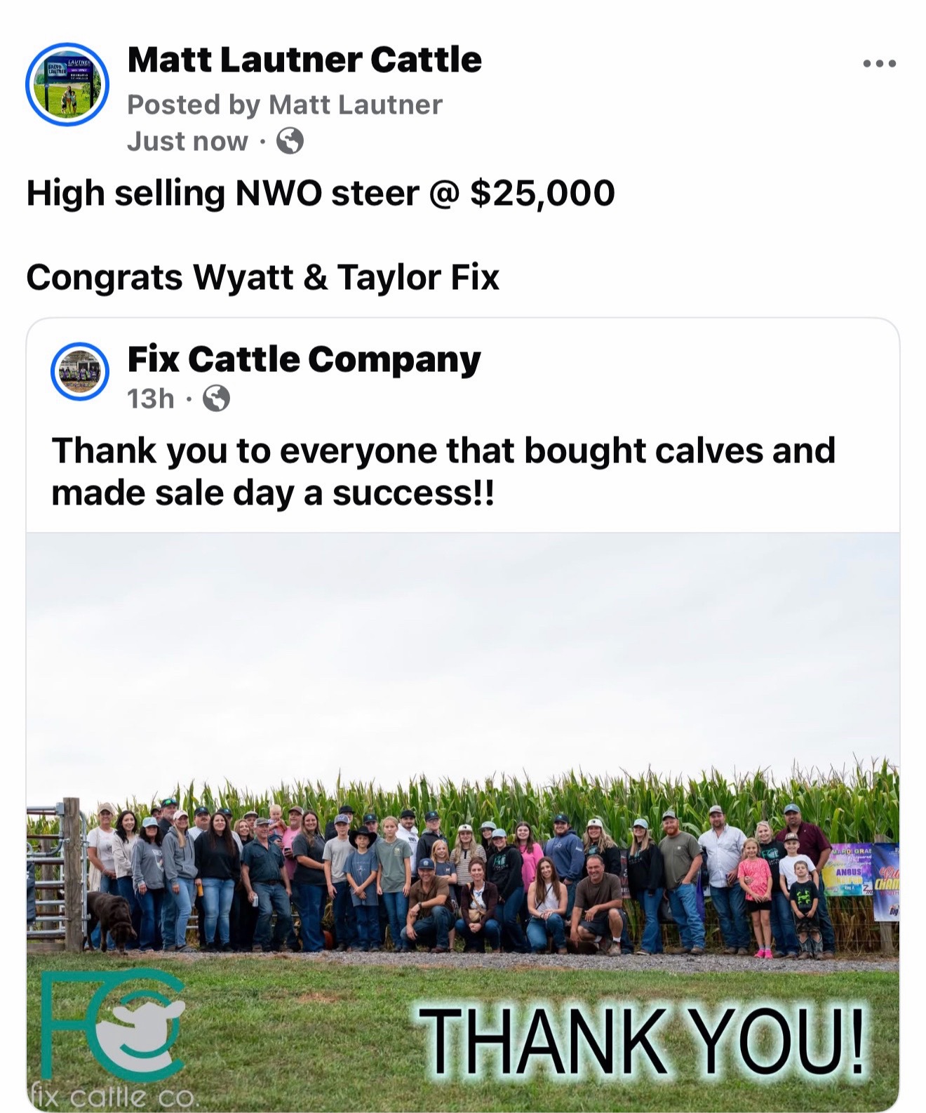 @Matt Lautner Cattle USA