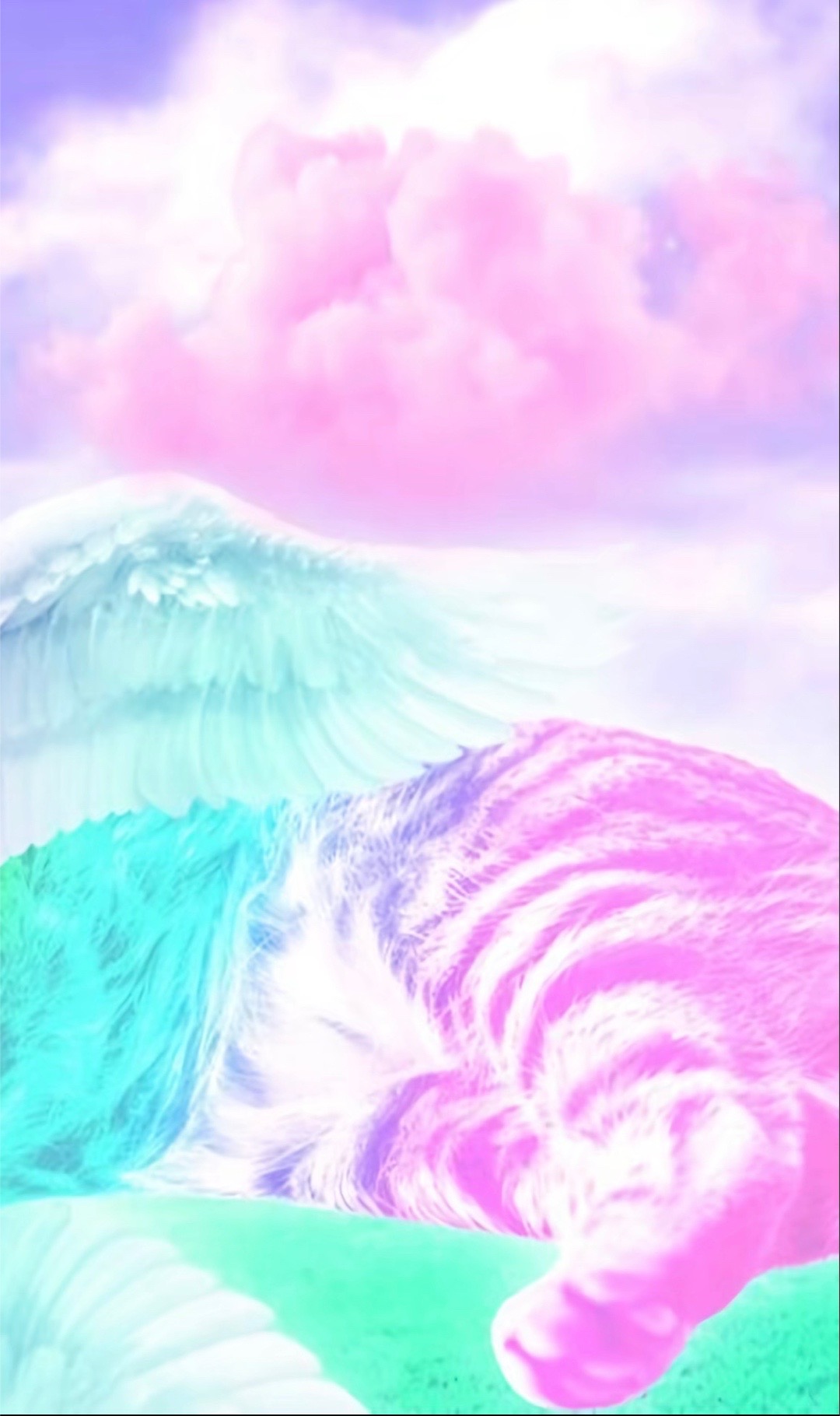 @˚₊ 🍭𓂃 ࣪˖  ʙʟᴜꜱʜɪᴀ ྀིྀི ᝰ.ᐟ