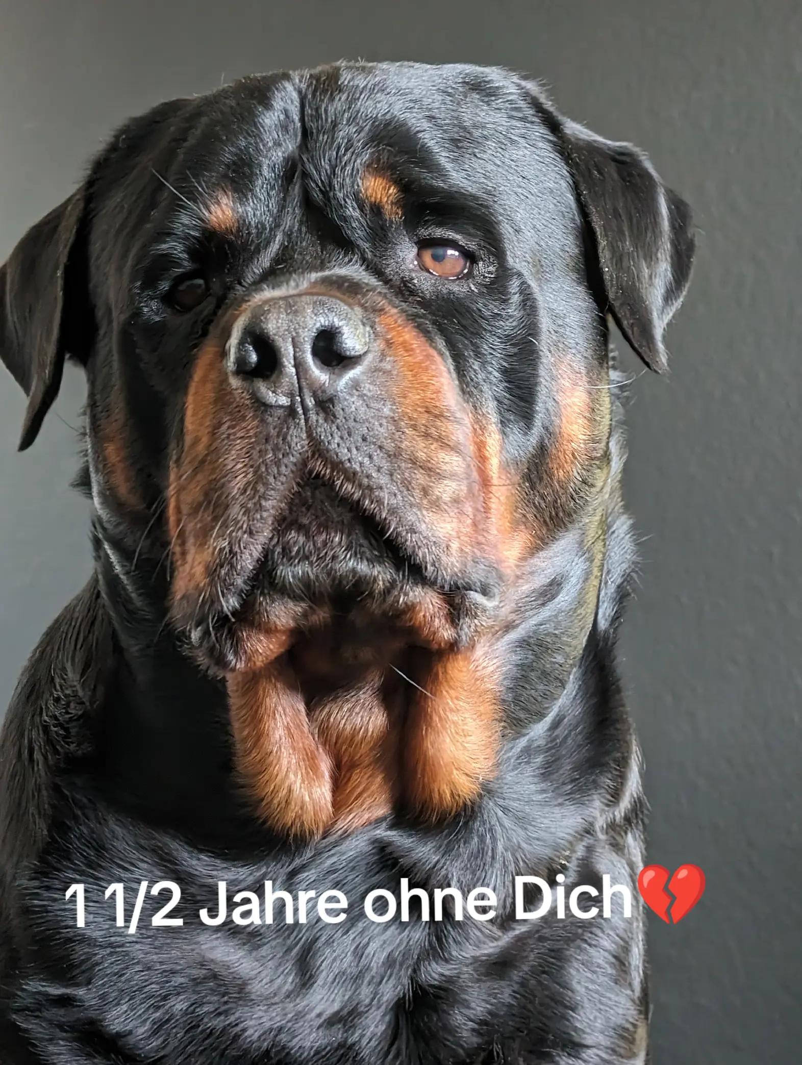 @Nicole❤️Schr&ouml;der🖤Kowalski ❤️