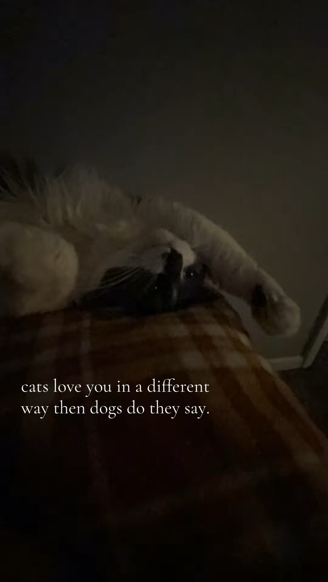 @𝓈𝑜𝓅𝒽𝓎𝒶ᥫ᭡.
