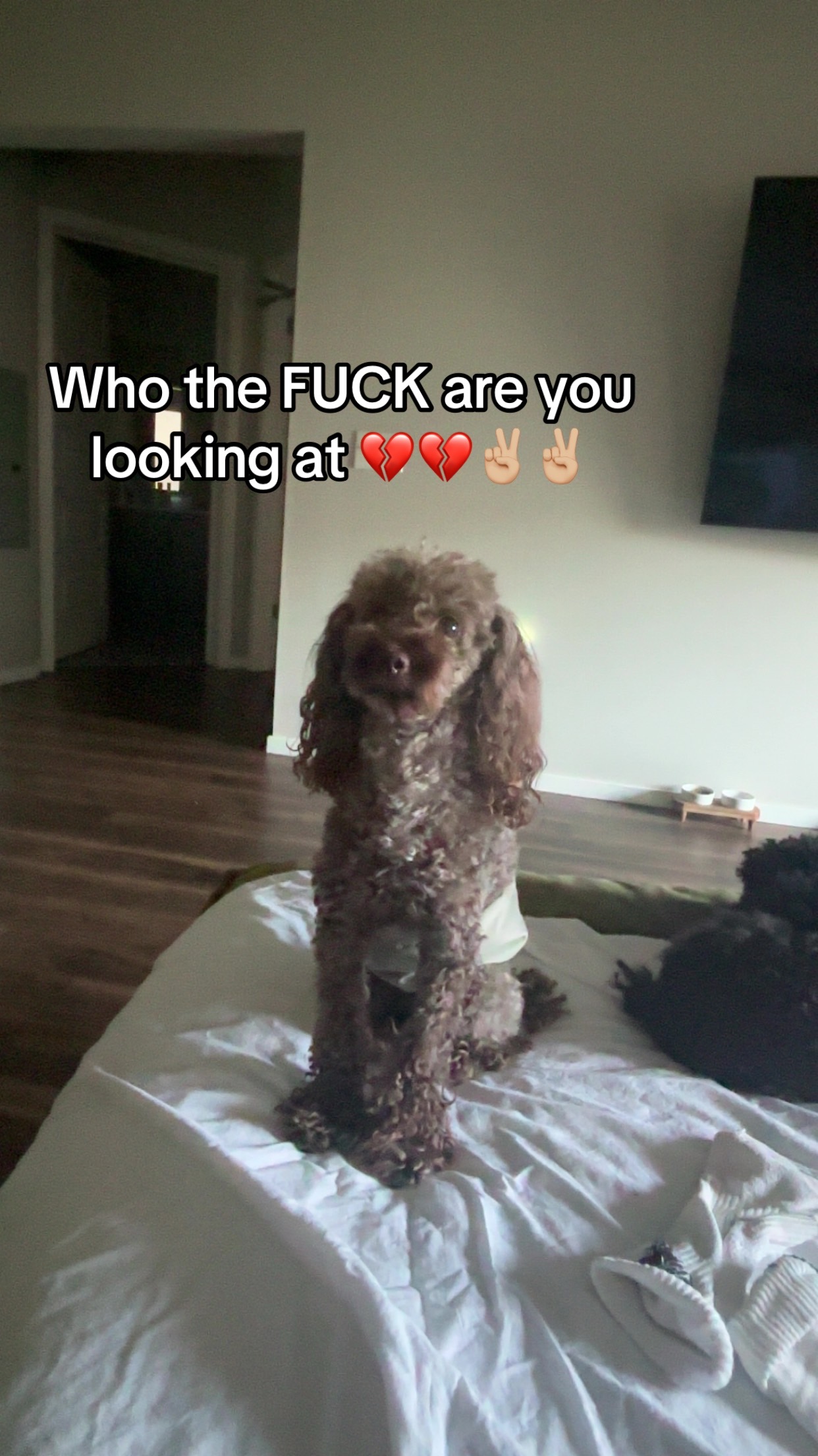 @✌🏼