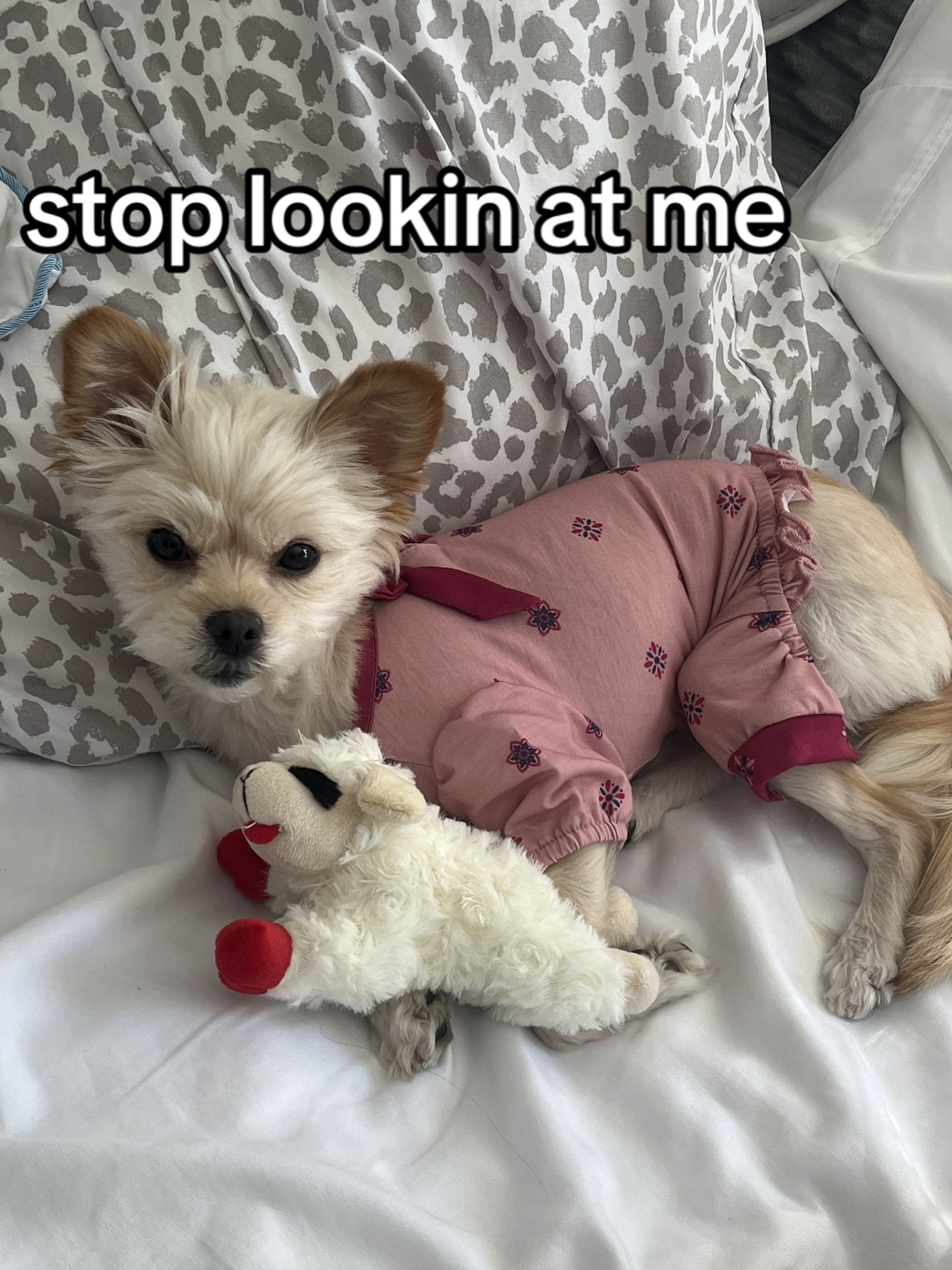 @bridgette daniel