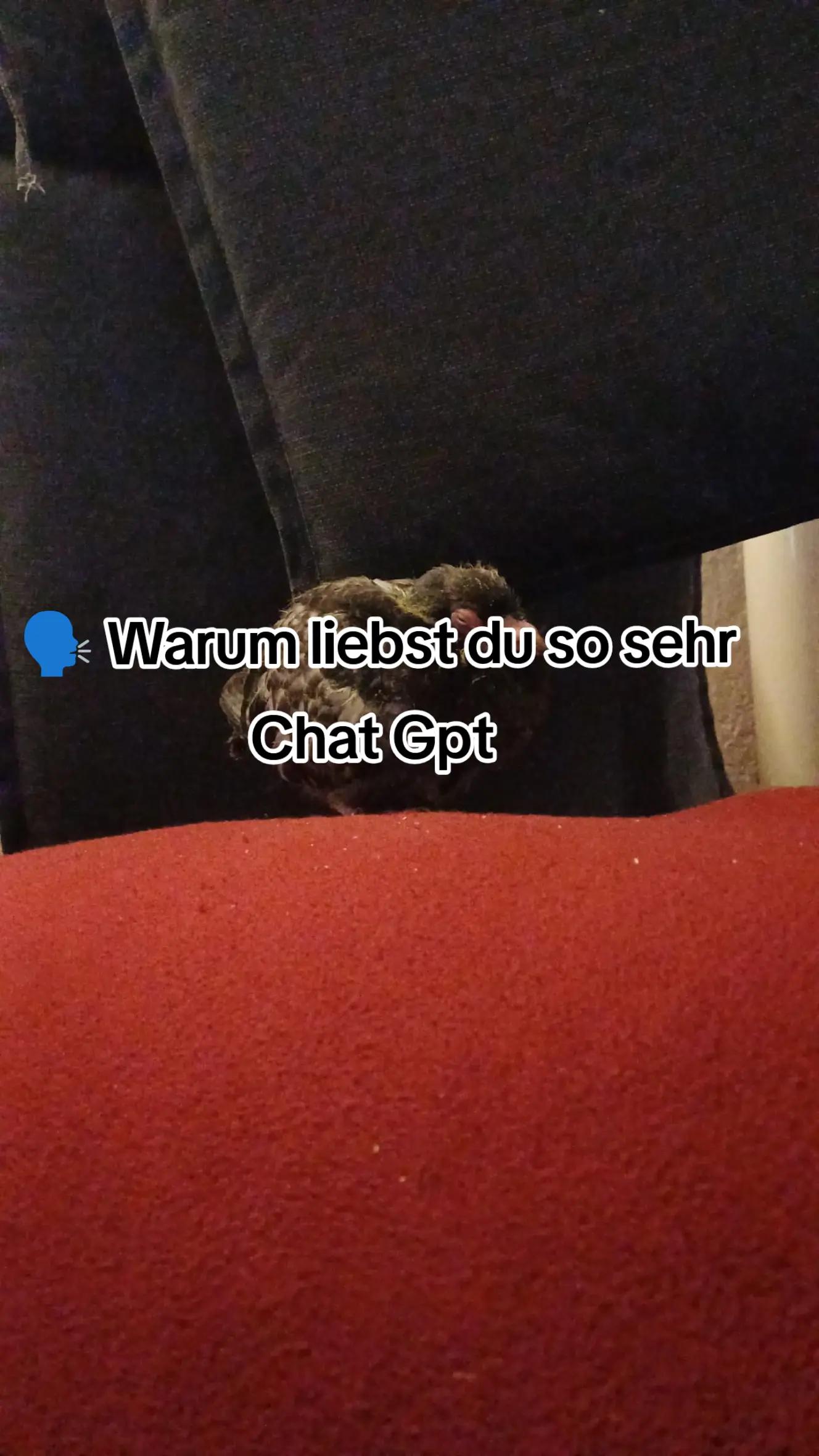 @Deutschi