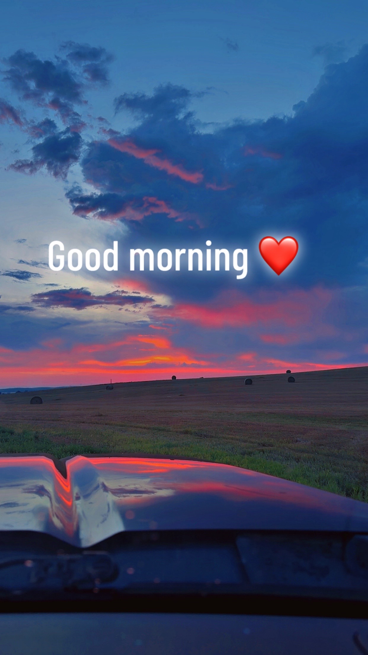 @Lyncia24🪶🖤💋