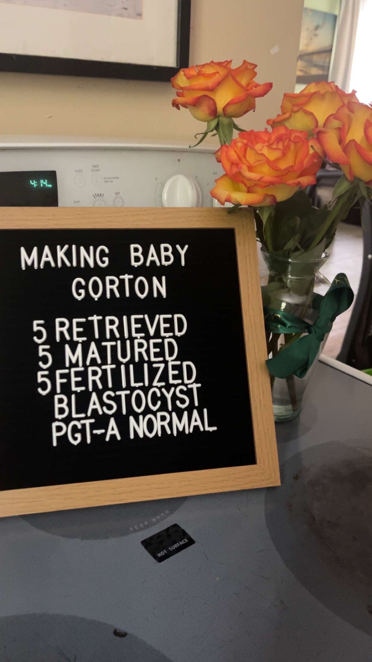 @Ashley Gorton | IVF Journey