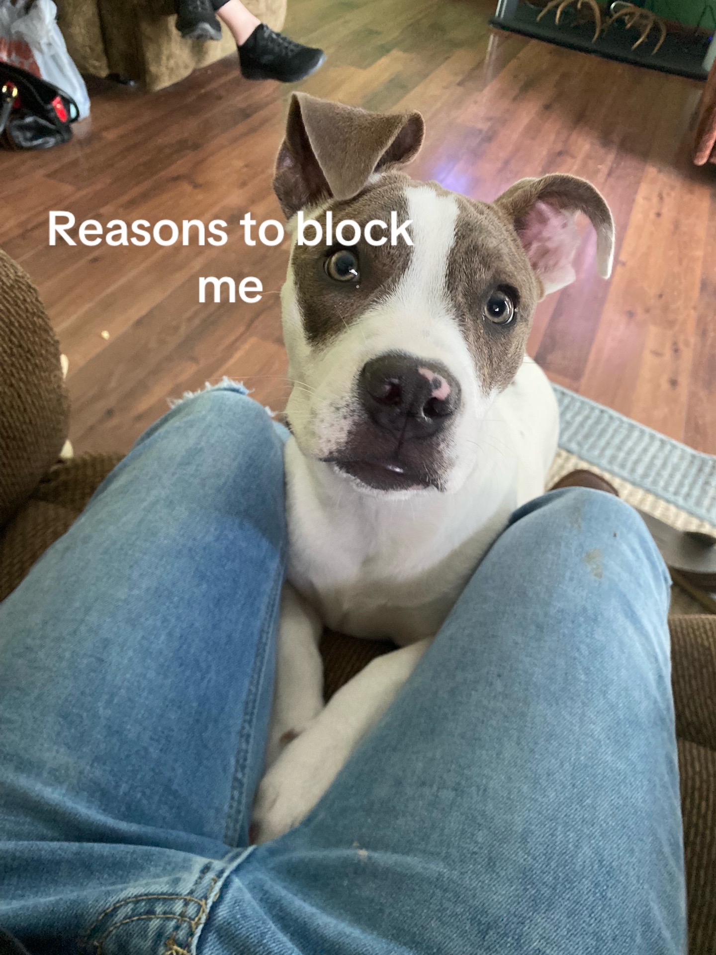@🪐🦴Oliver🦴🪐