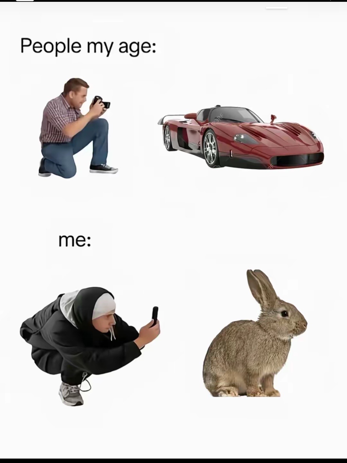 @🦨car