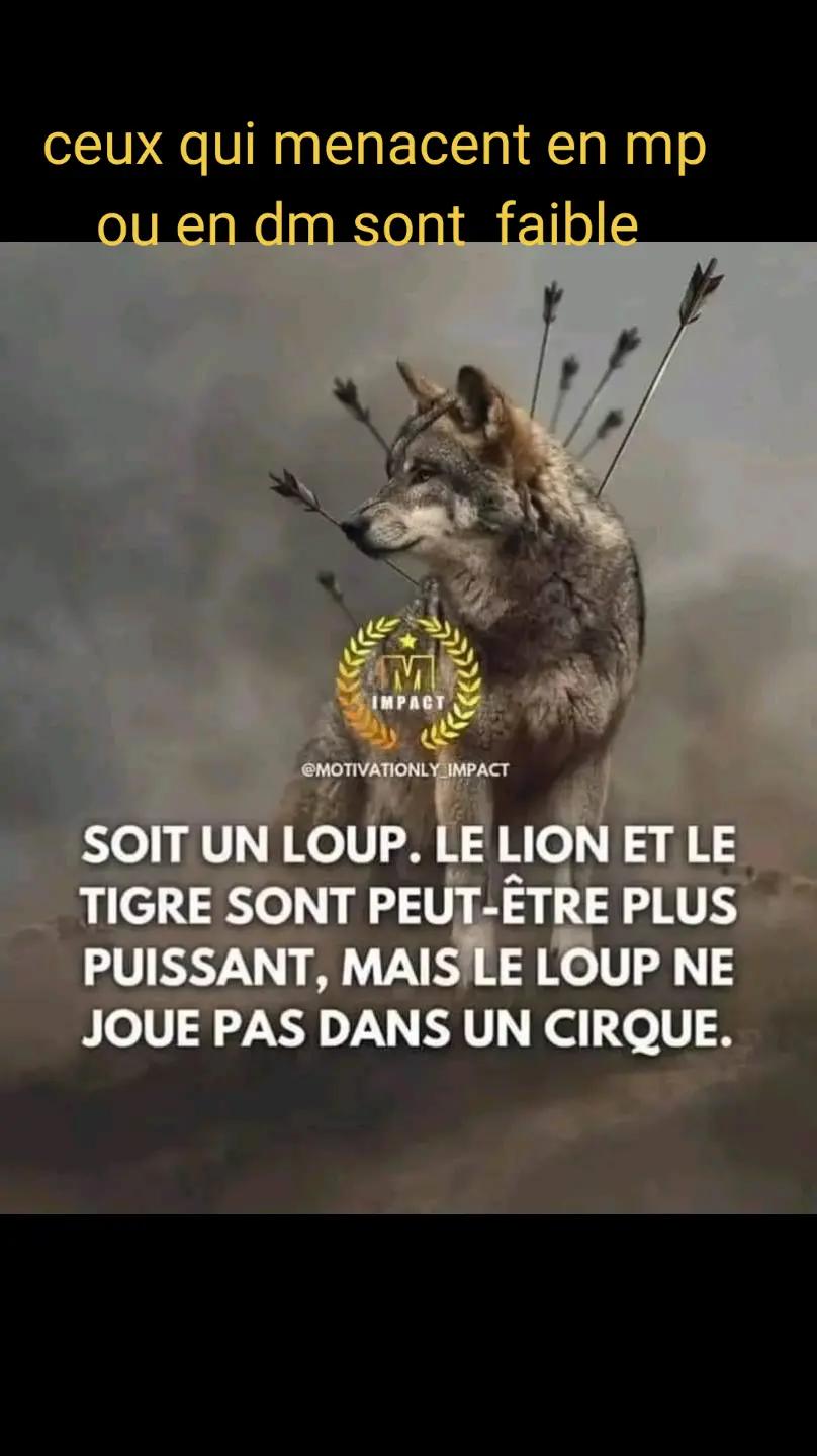 @Boualem28100