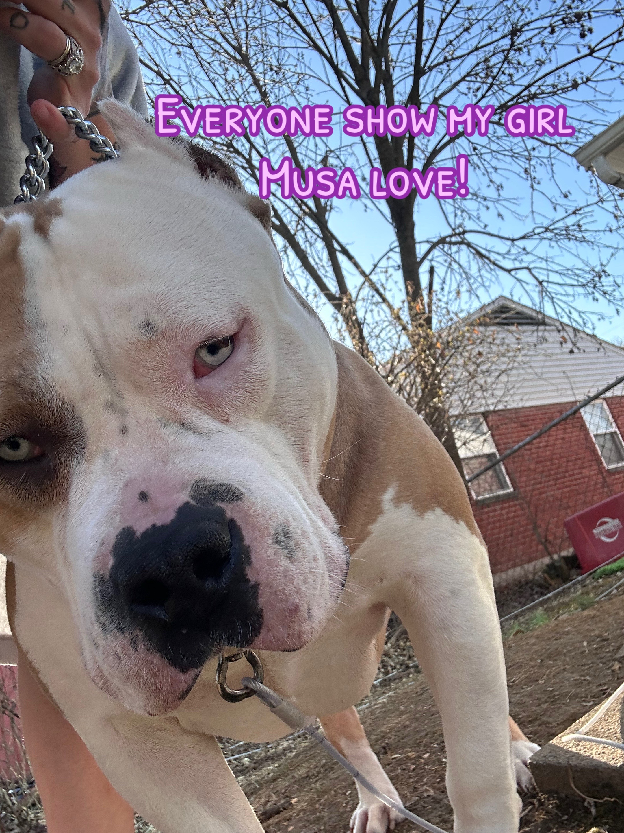 @Katelyn&bull;Rankin&bull;BigRBullies