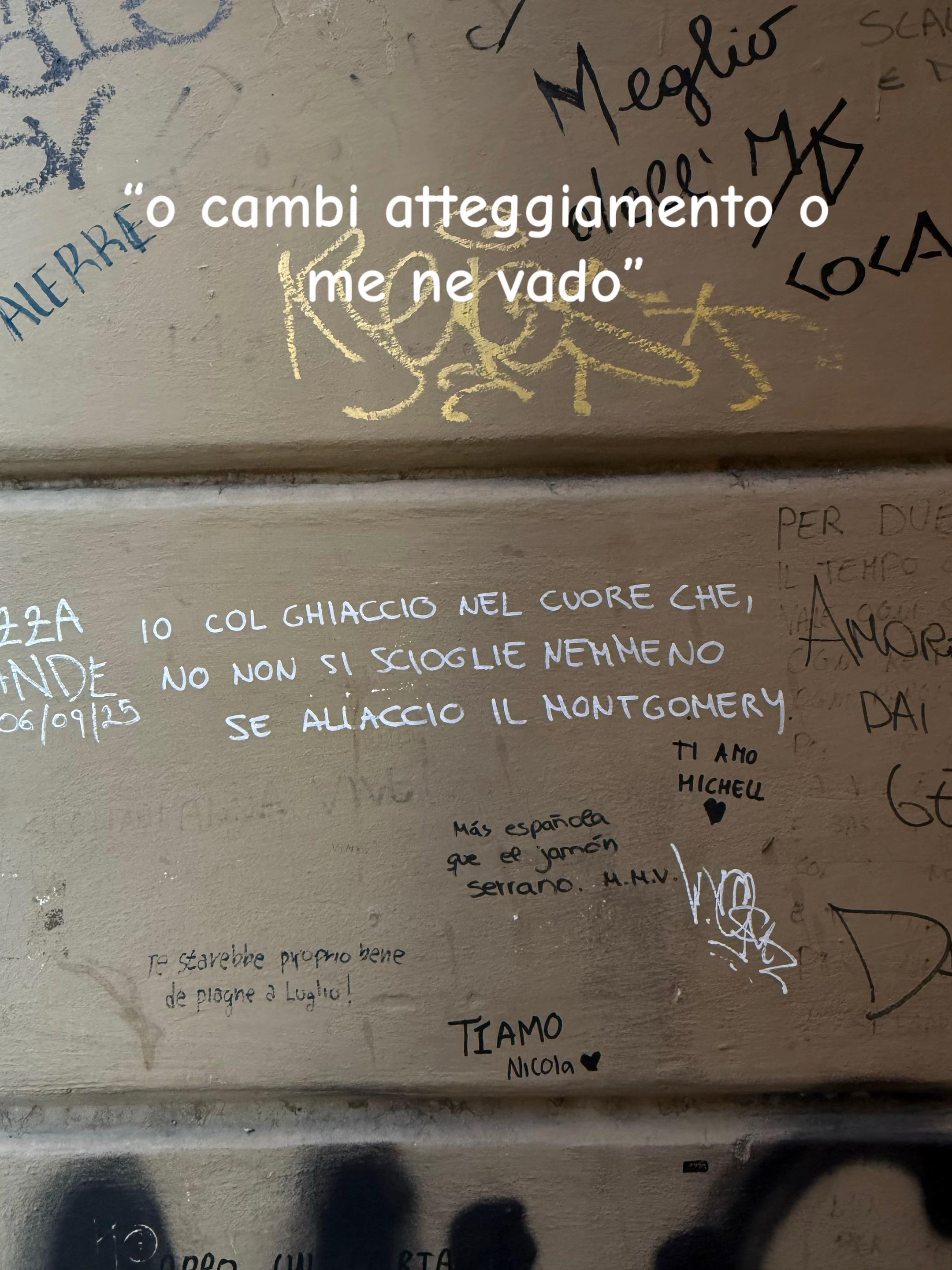 @aurora riso