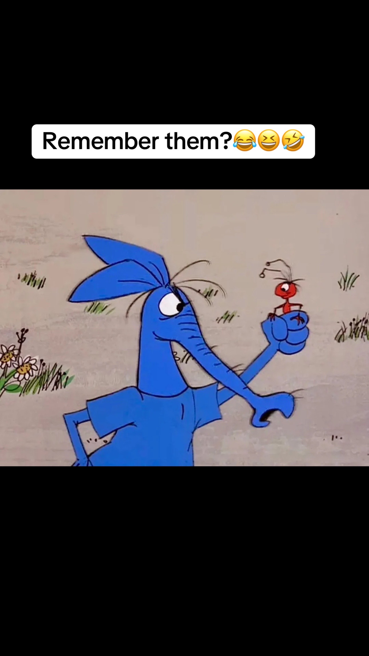 @Treasure Yourselves🦈 Shirley