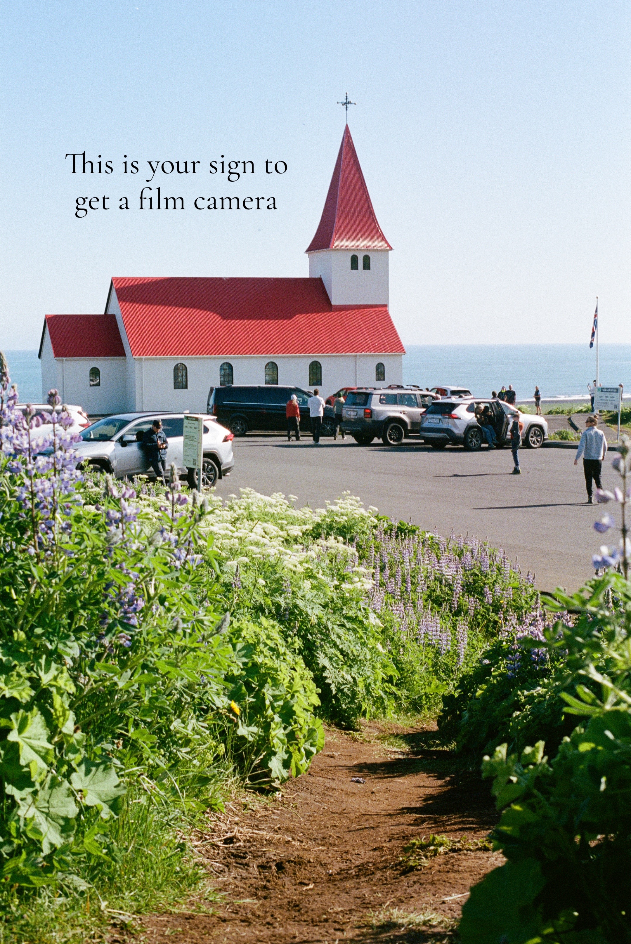 @Oscar’s Viewfinder