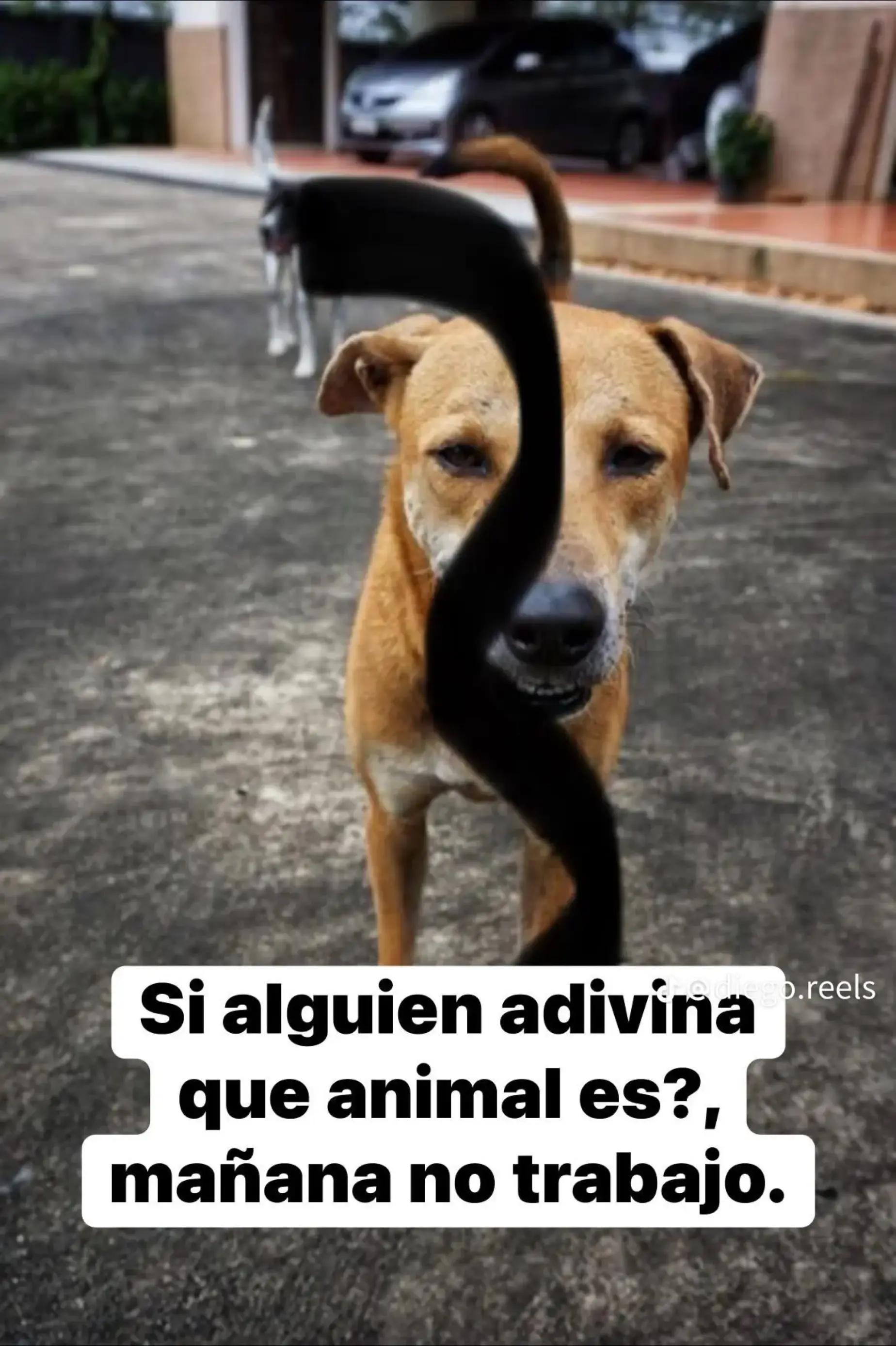 @Sola