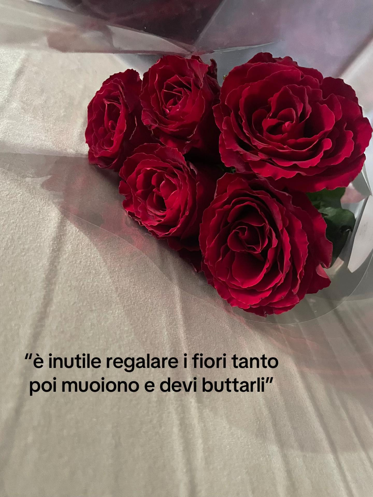 @giada_tmmm