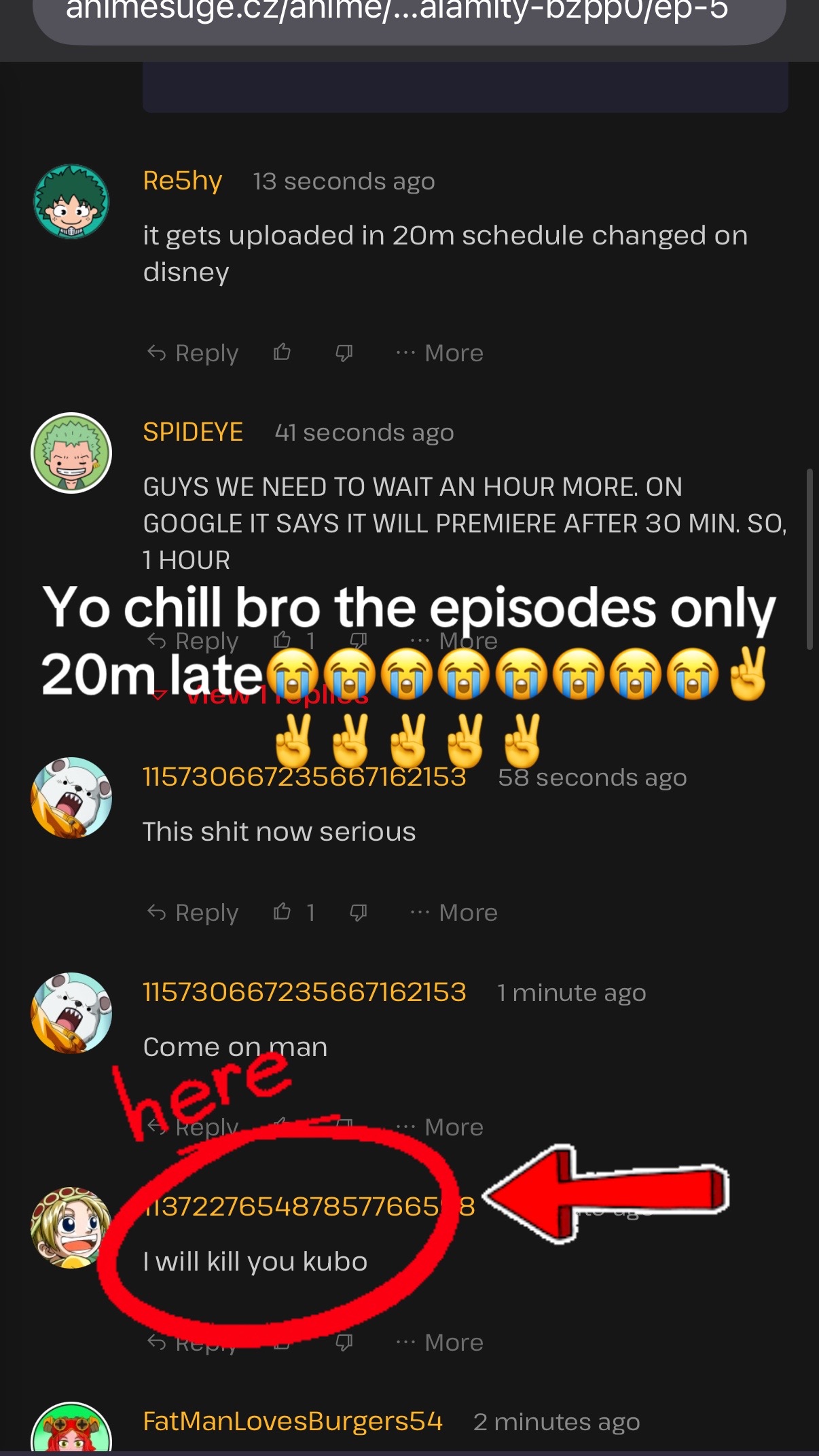 @user2027484992