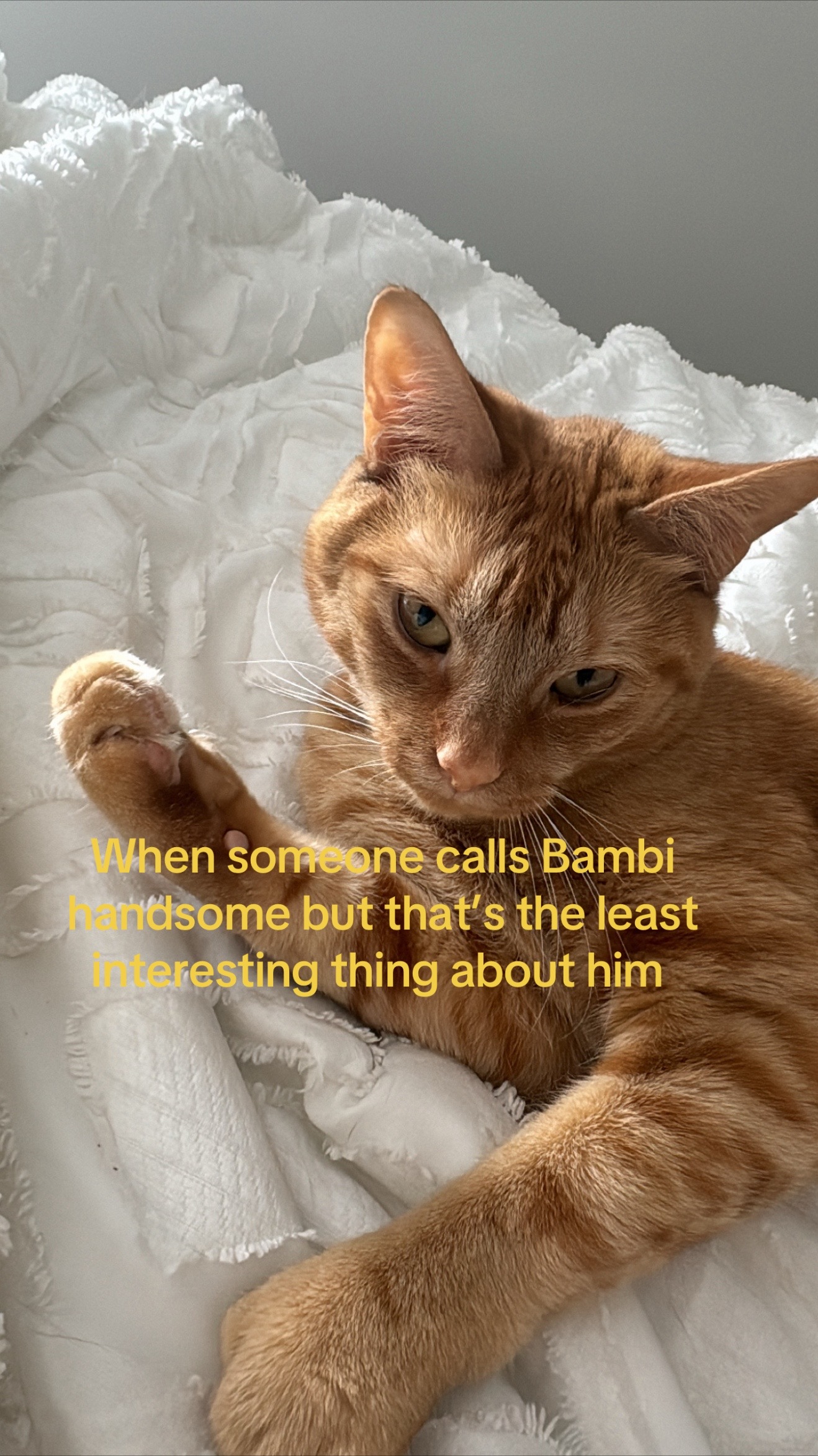 @Beka 🧸