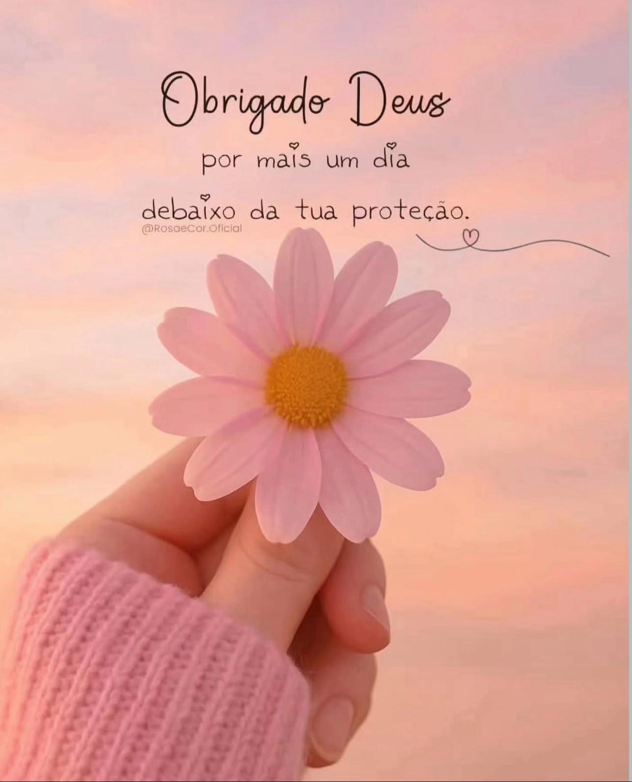 @Palavras de Sabedoria