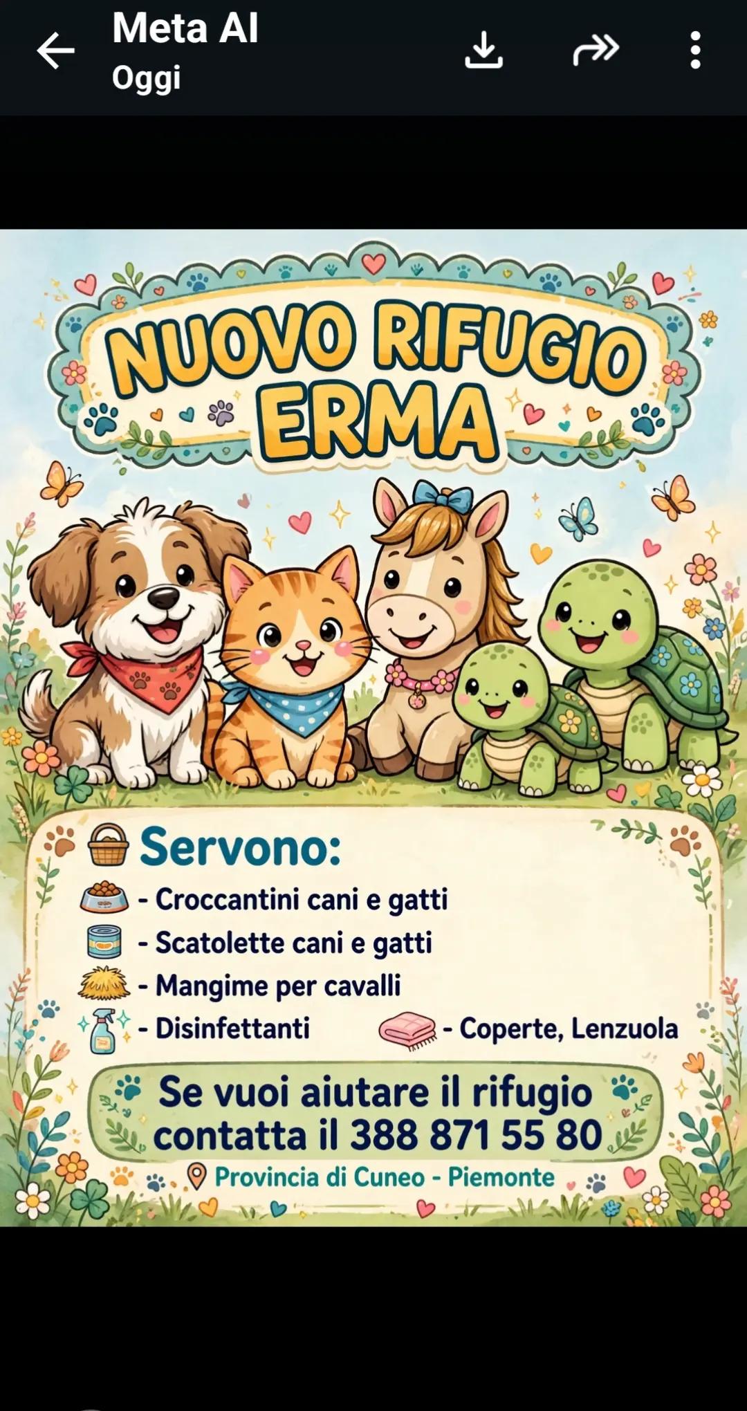 @leonessa34 rifugio emma