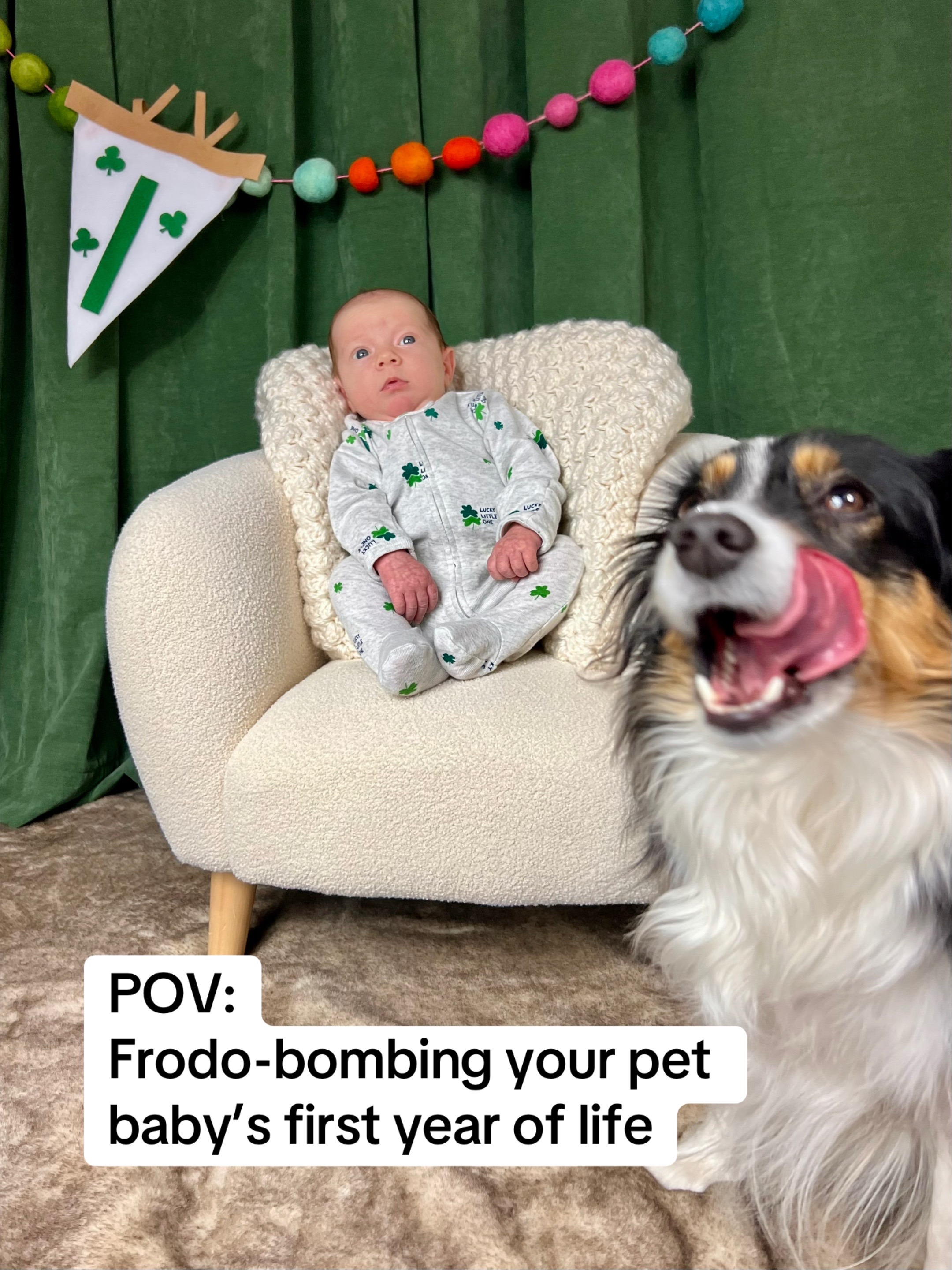 @Frodo Bean