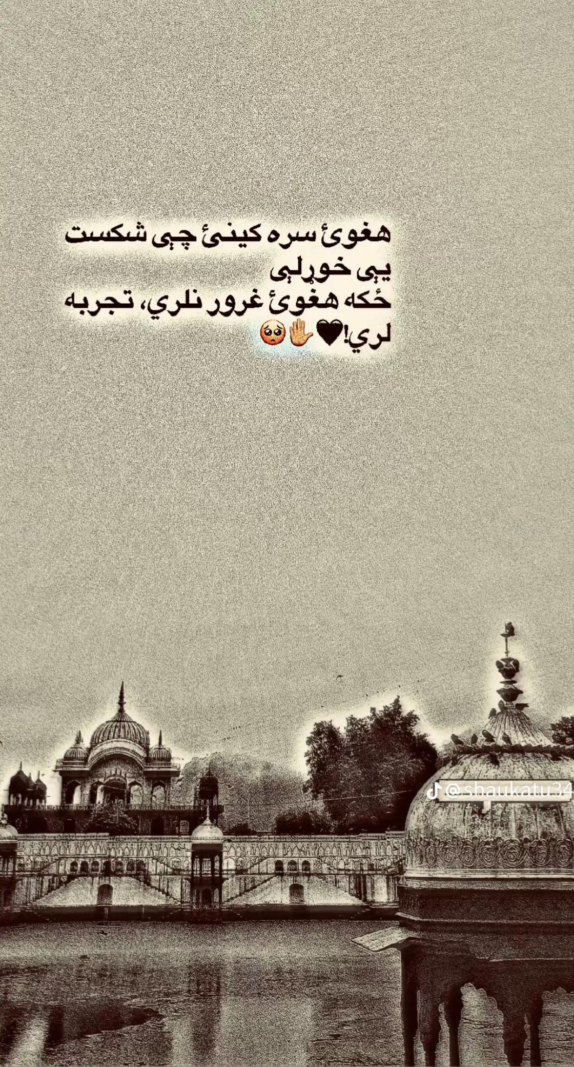 @Farhad Tokhi