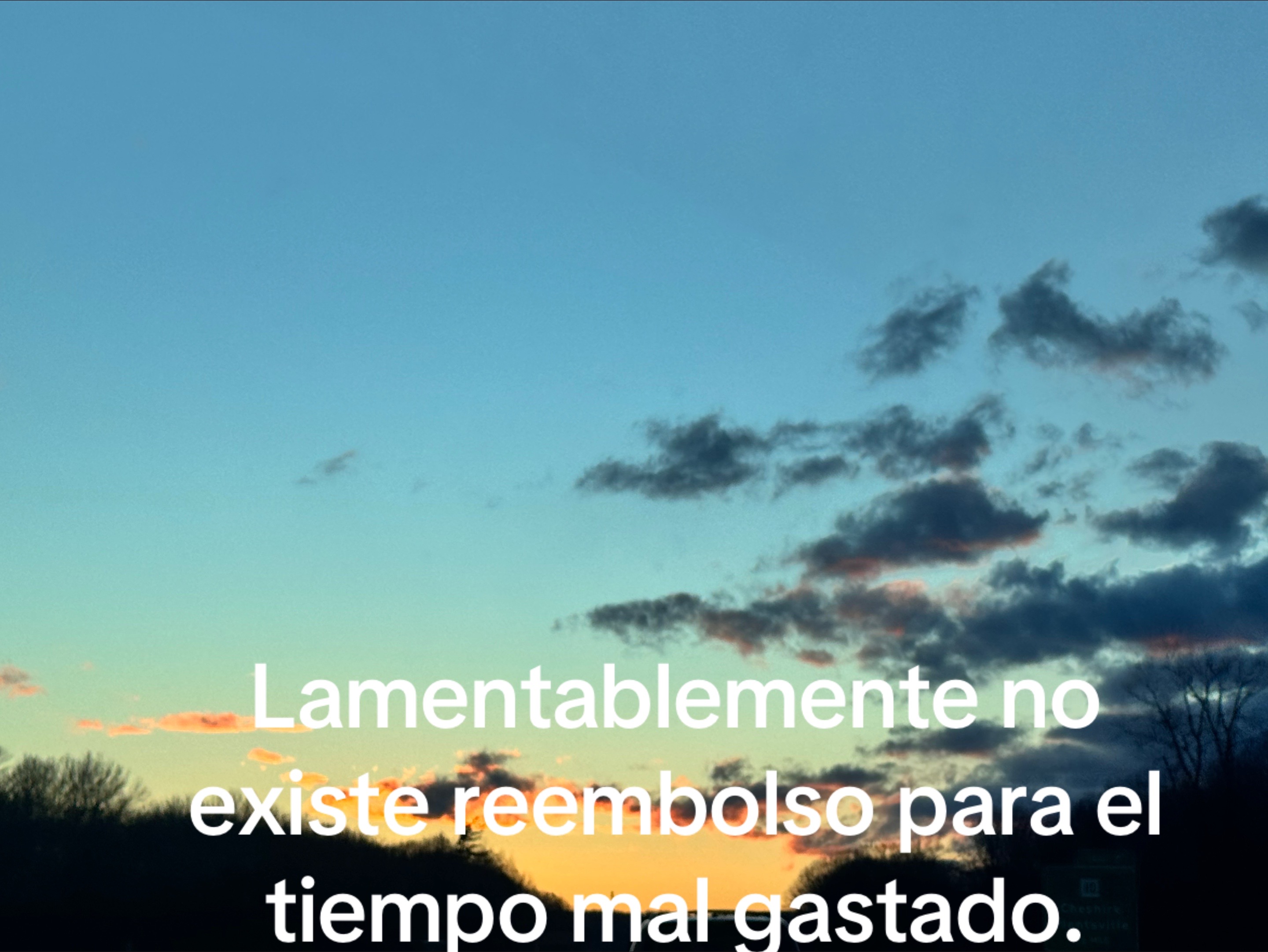 @leito1003